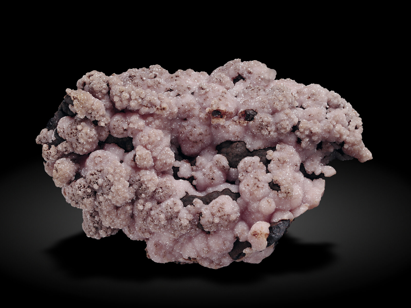 specimens/s_imagesAN8/Rhodochrosite-EMA89AN8_1802_f.jpg