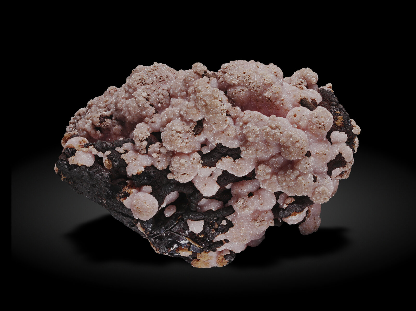 specimens/s_imagesAN8/Rhodochrosite-EMA89AN8_1841_r.jpg