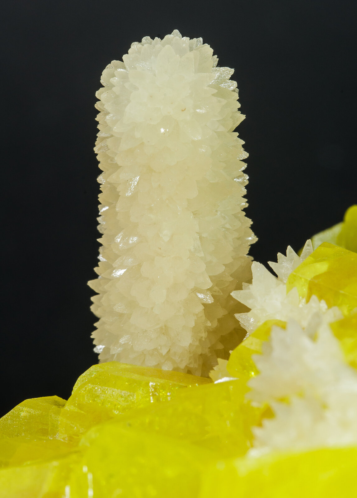specimens/s_imagesAN8/Sulphur-MFM3AN8d2.jpg