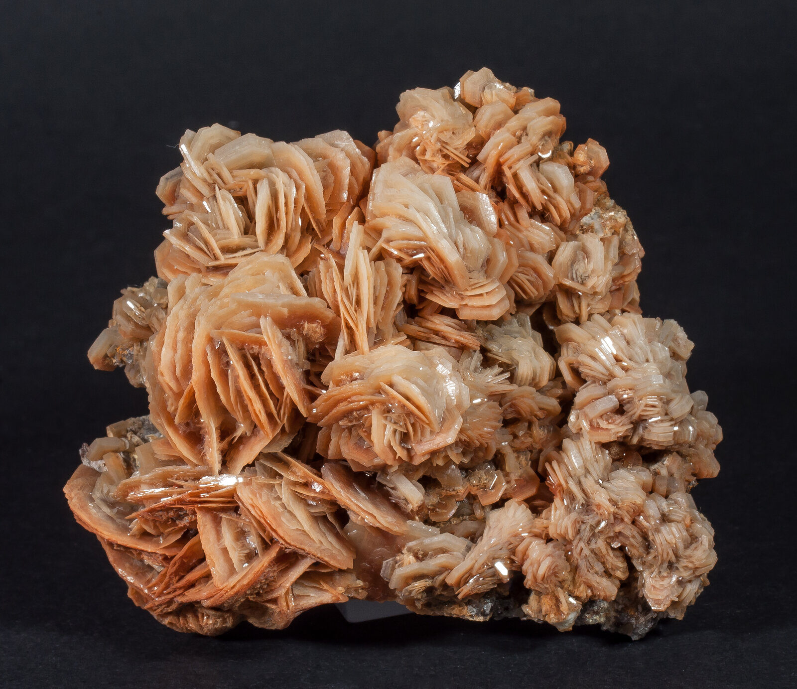 specimens/s_imagesAN9/Baryte-NFR26AN9f.jpg