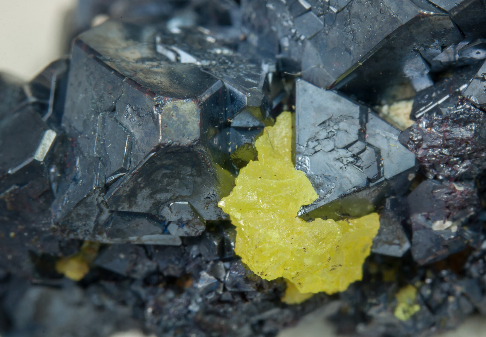 specimens/s_imagesAN9/Cuprite-TJJ66AN9d.jpg