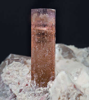 Elbaite-Schorl Series (variety rubellite) with Quartz and Microcline. 