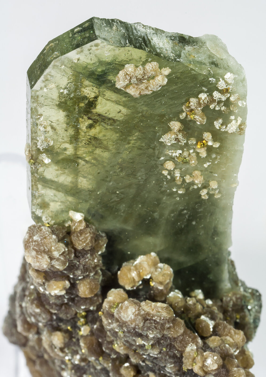 specimens/s_imagesAN9/Fluorapatite-NPQ96AN9d.jpg