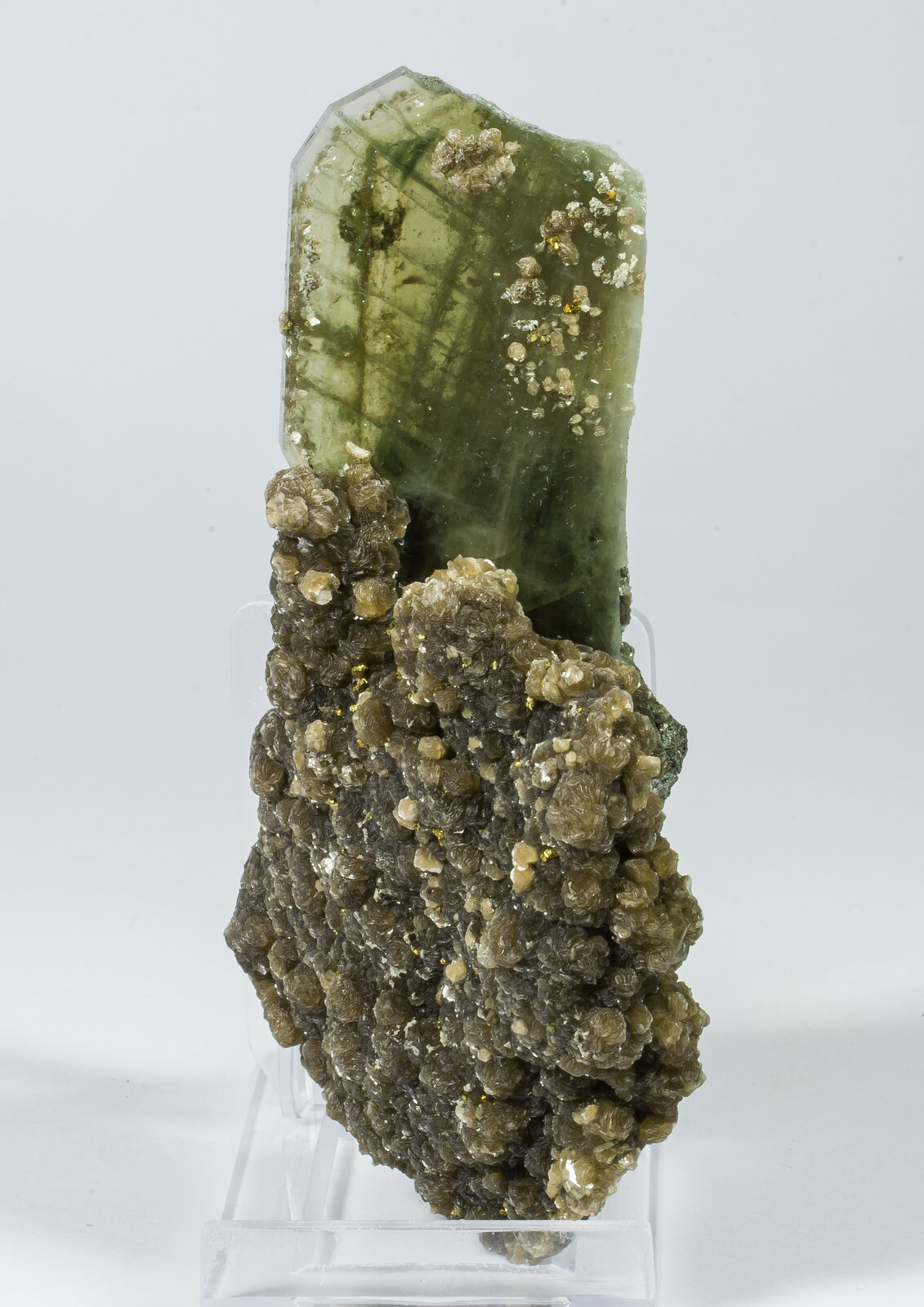 specimens/s_imagesAN9/Fluorapatite-NPQ96AN9f.jpg