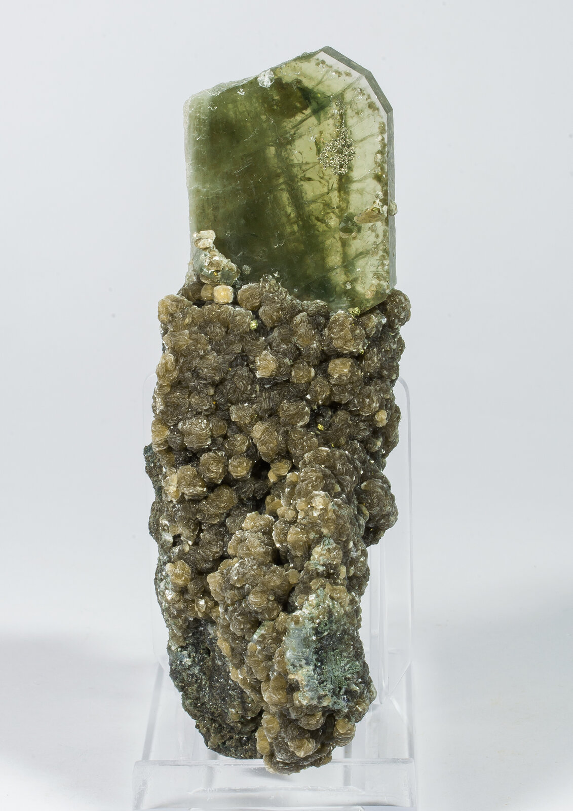 specimens/s_imagesAN9/Fluorapatite-NPQ96AN9r.jpg