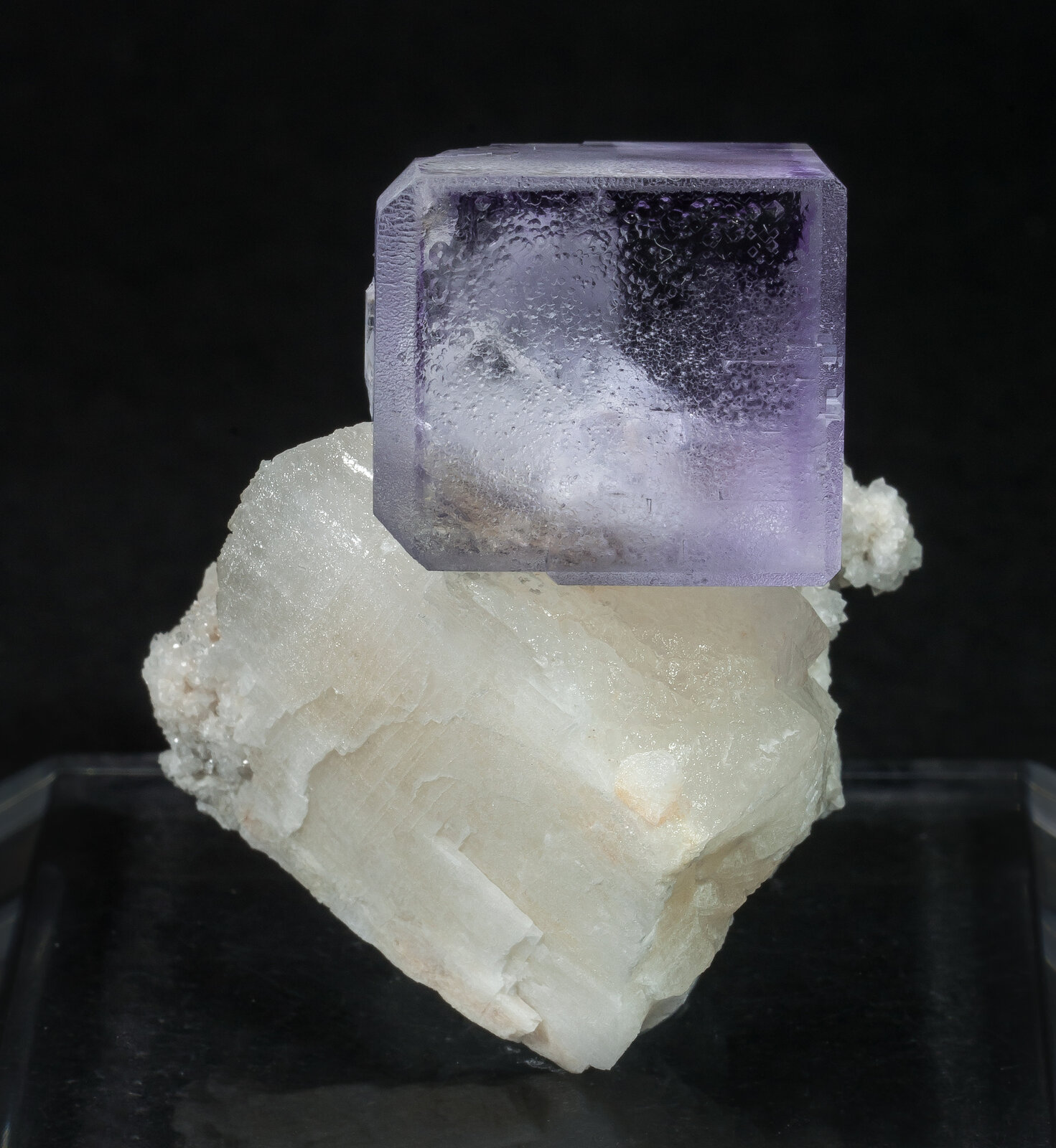 specimens/s_imagesAN9/Fluorite-NBC56AN9f.jpg