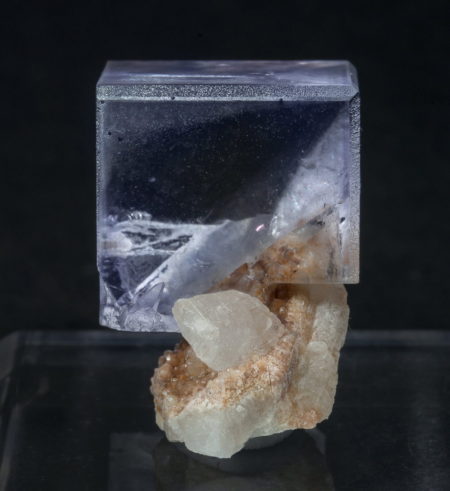 specimens/s_imagesAN9/Fluorite-NDR26AN9s.jpg