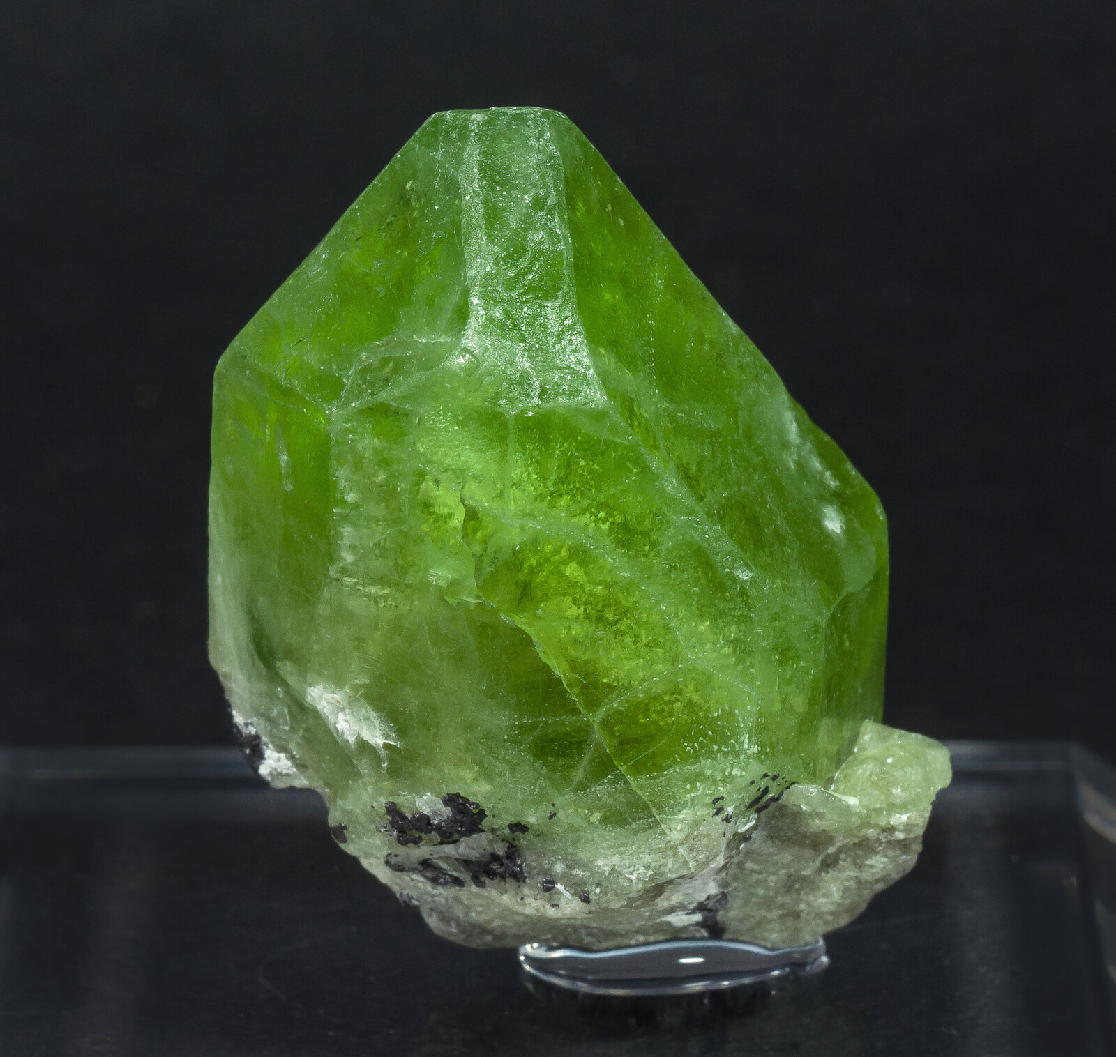 specimens/s_imagesAN9/Forsterite_peridot-MMT67AN9f.jpg