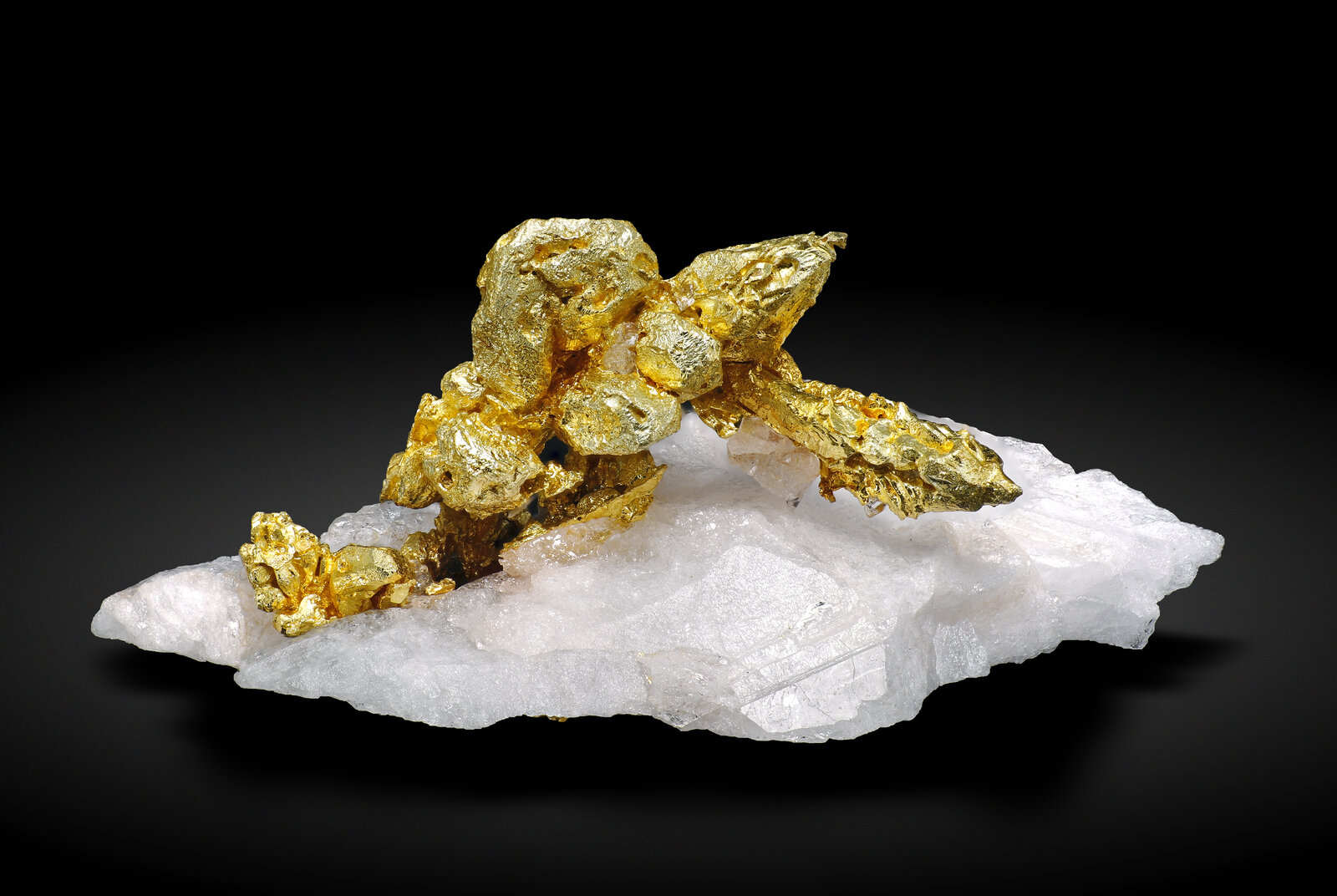 specimens/s_imagesAN9/Gold-EER31AN9_0367_r.jpg