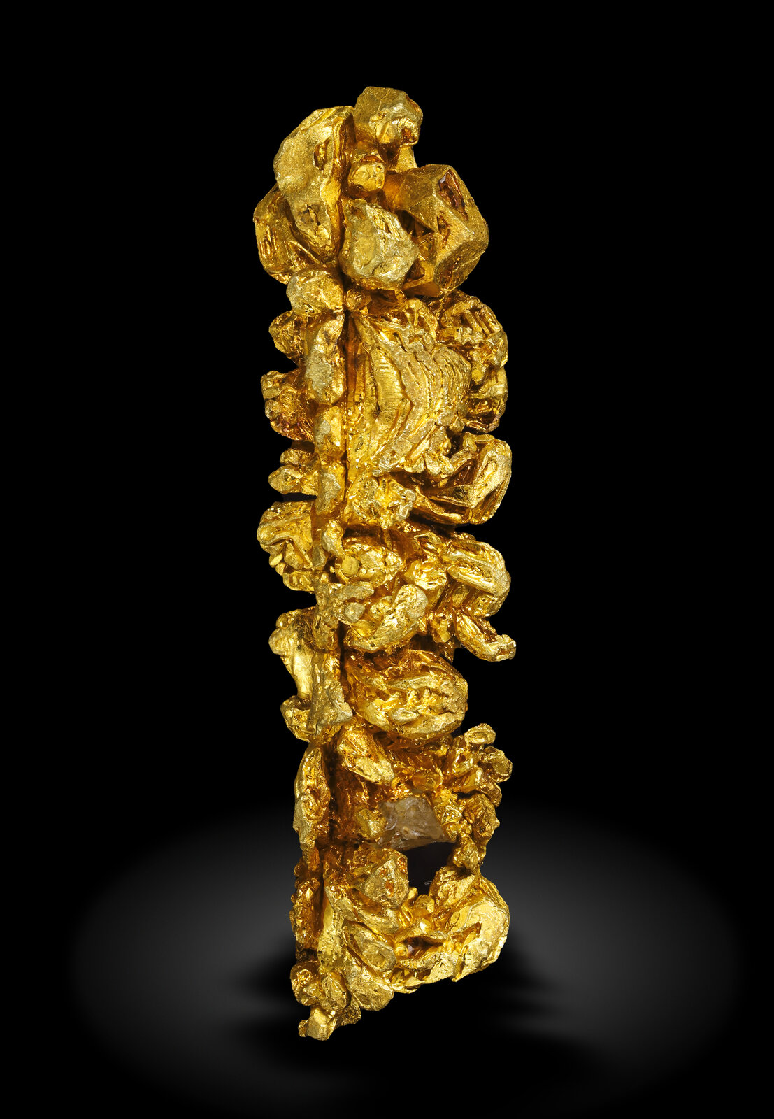 specimens/s_imagesAN9/Gold-EPP96AN9_0499_f.jpg