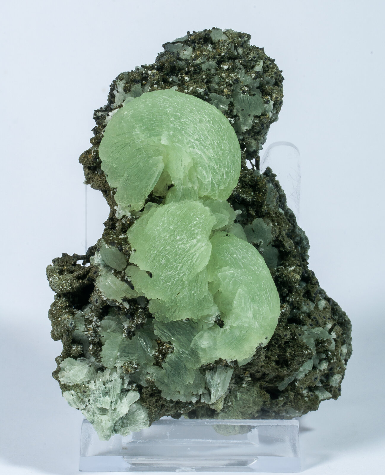 specimens/s_imagesAN9/Prehnite-JFD56AN9f.jpg