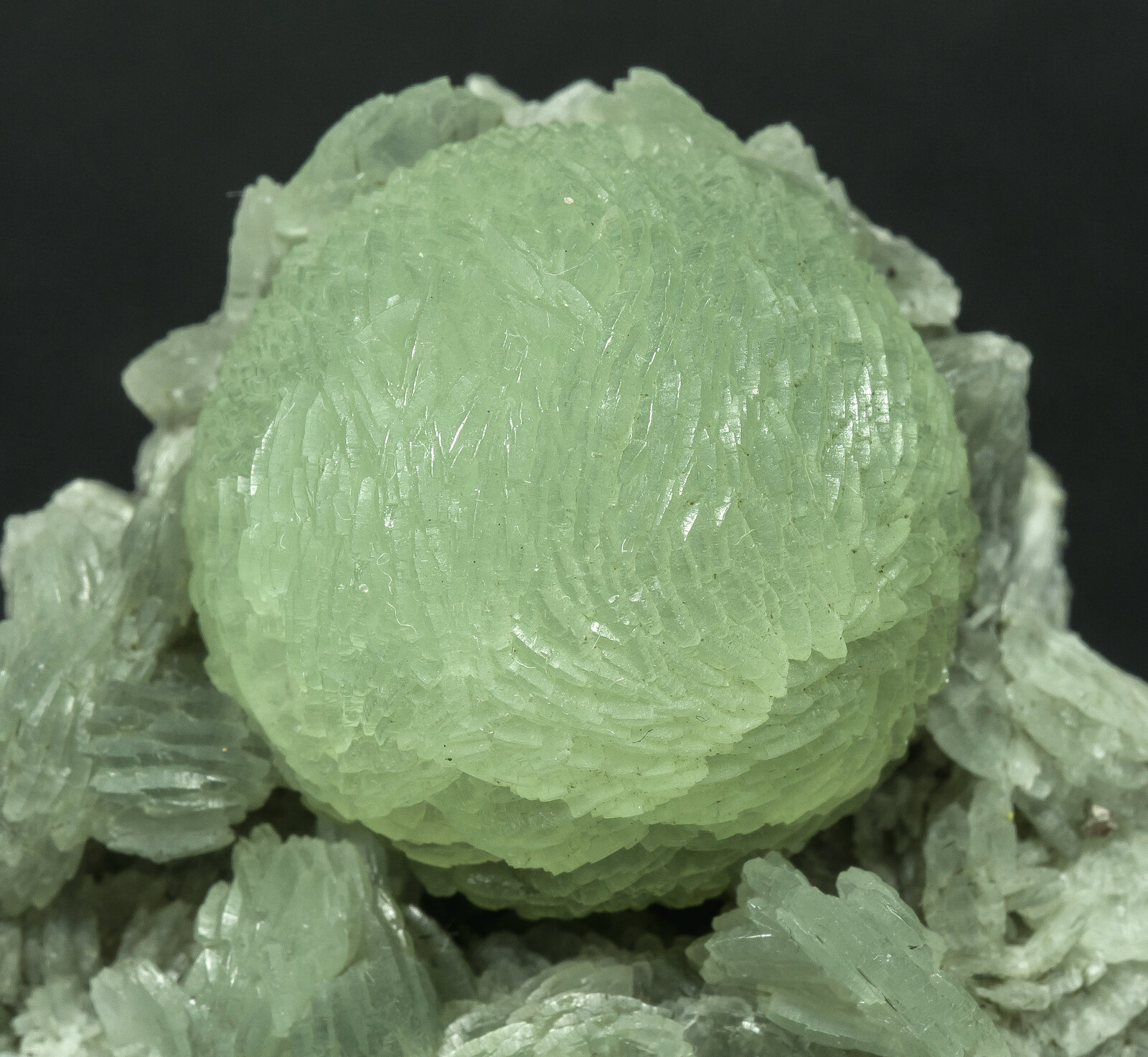 specimens/s_imagesAN9/Prehnite-NMF14AN9d.jpg