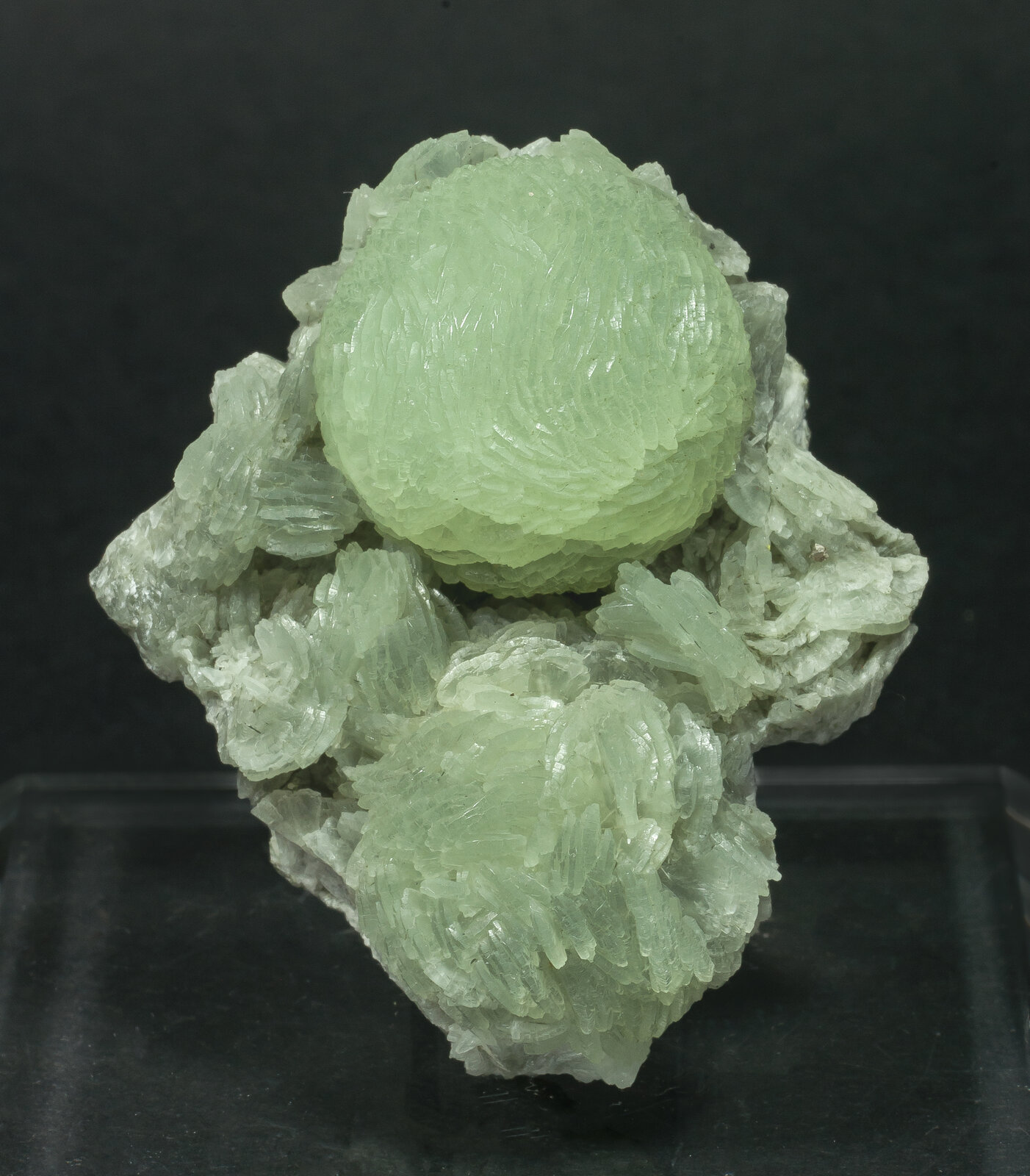 specimens/s_imagesAN9/Prehnite-NMF14AN9f.jpg