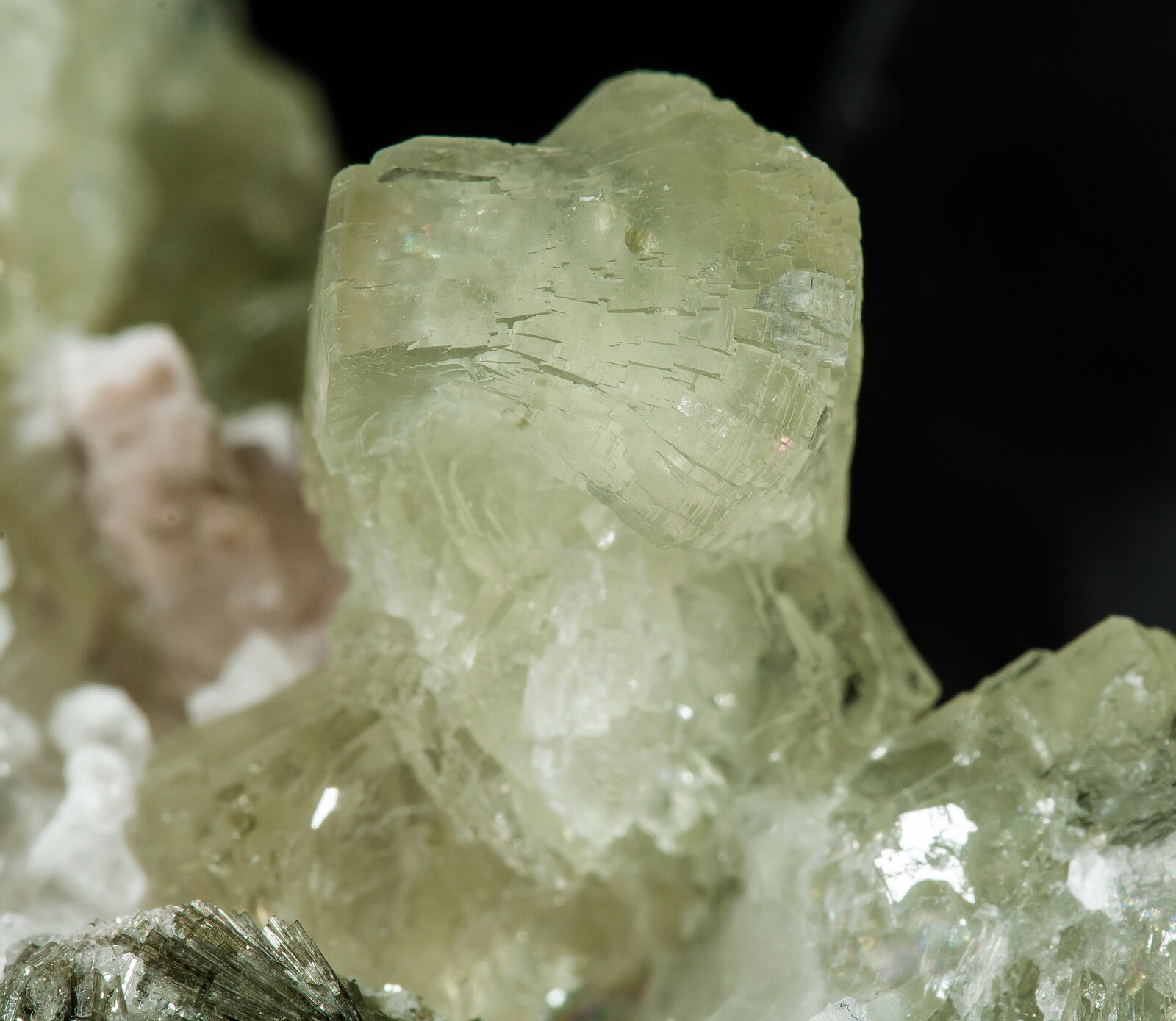 specimens/s_imagesAN9/Prehnite-NRA46AN9d.jpg