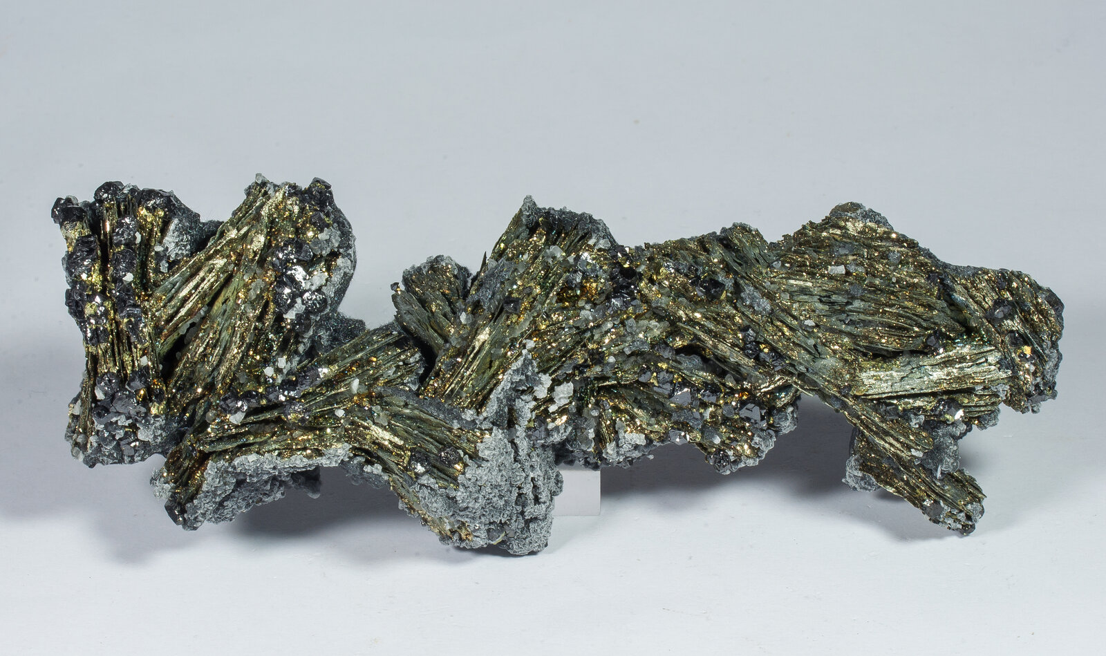 specimens/s_imagesAN9/Pyrite-MFR96AN9s.jpg