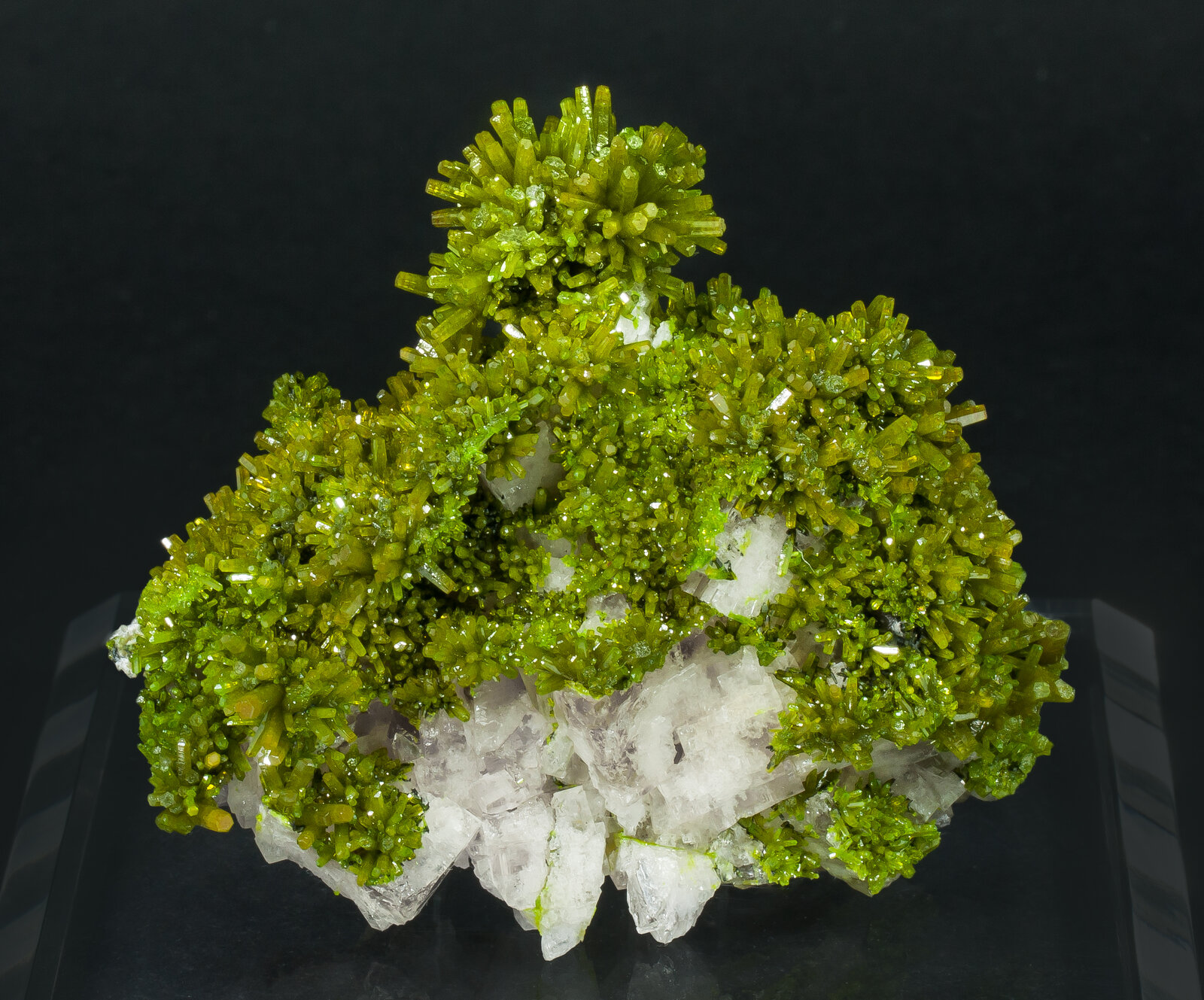 specimens/s_imagesAN9/Pyromorphite-EFG56AN9f.jpg