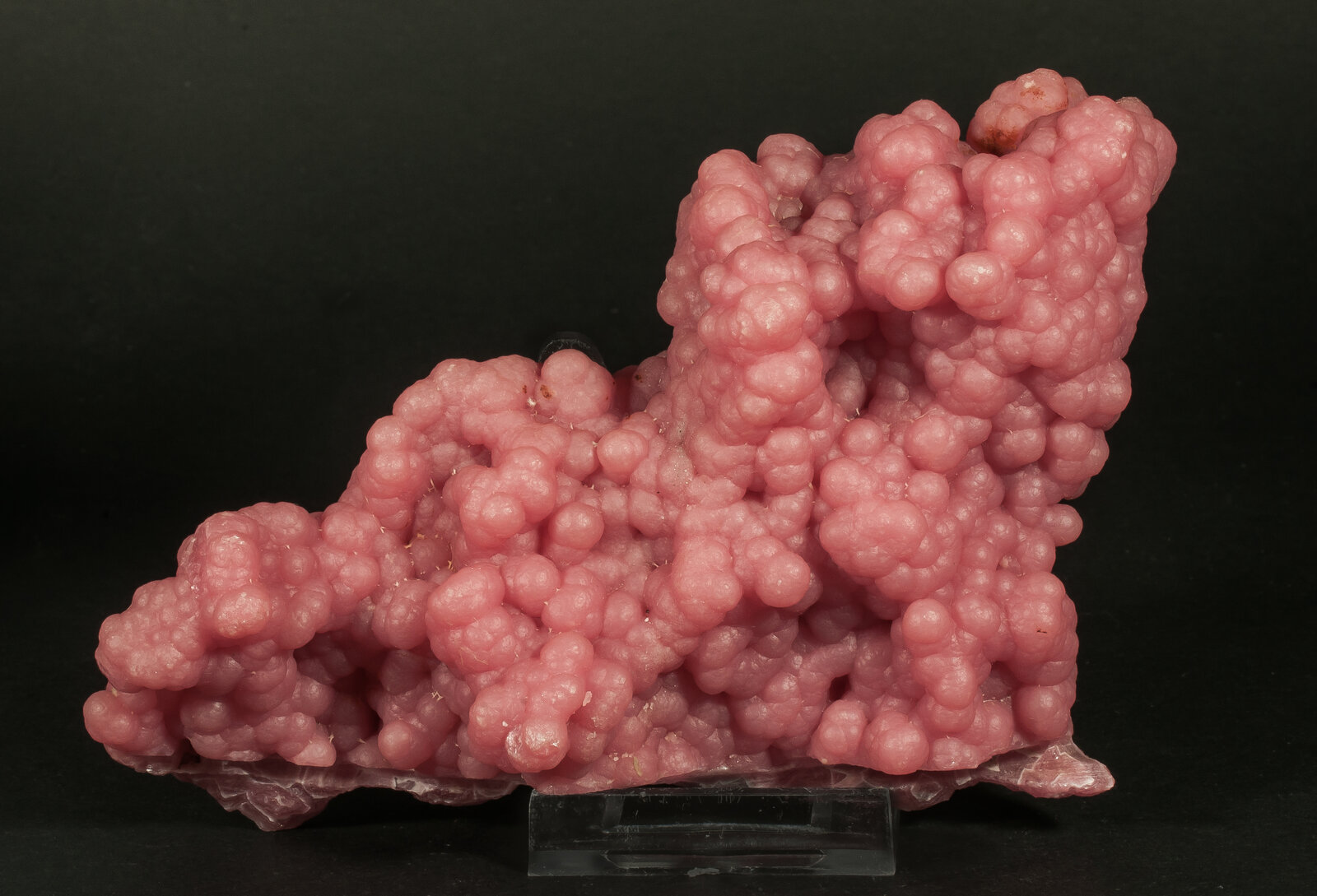 specimens/s_imagesAN9/Rhodochrosite-MFT86AN9r.jpg