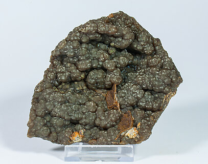 Siderite (variety sphrosiderite) with Baryte. Side