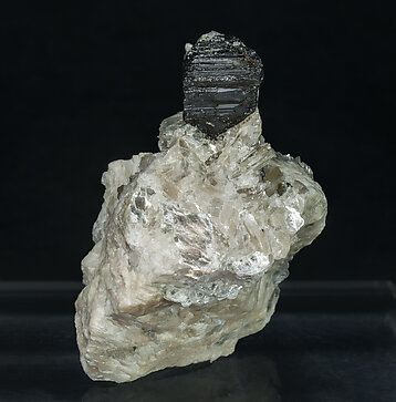 Tapiolite-(Fe) with Quartz and Muscovite. 