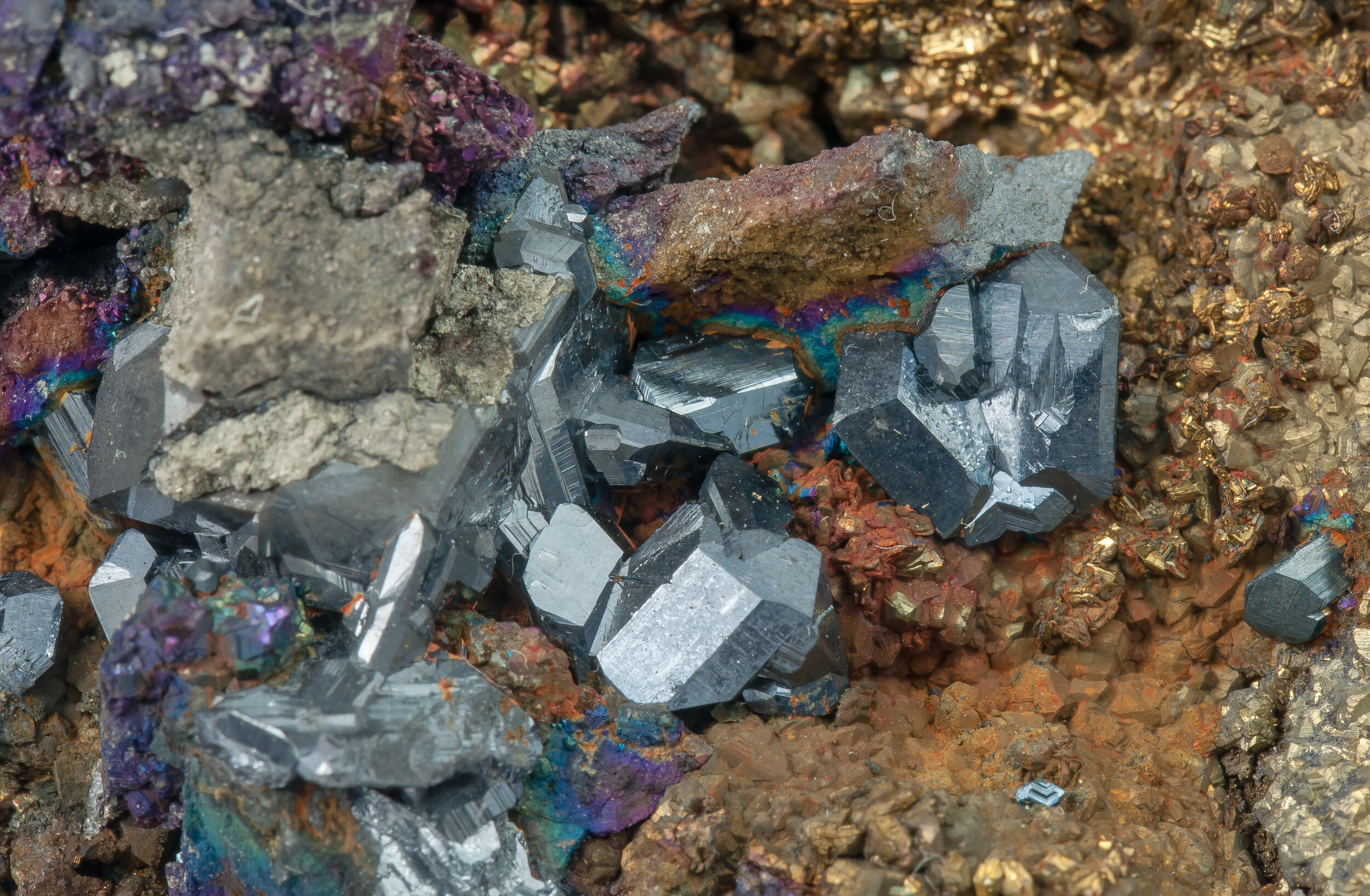 specimens/s_imagesAO0/Chalcocite-NAF72AO0d1.jpg