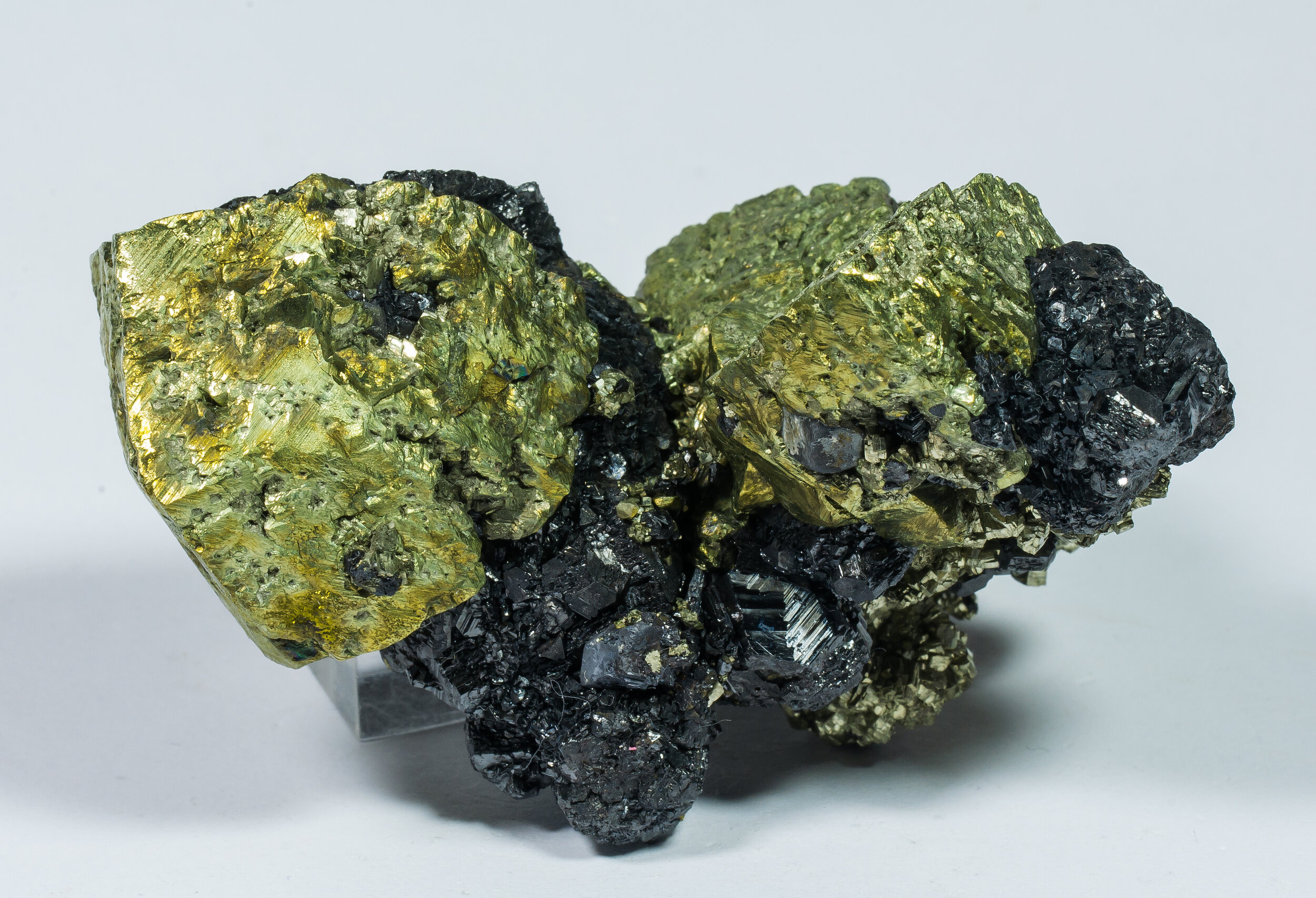 specimens/s_imagesAO0/Chalcopyrite-MF96AO0s.jpg