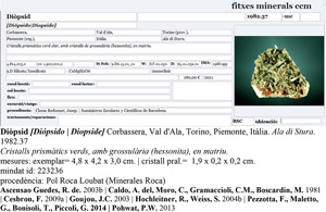 Diopside with Grossular (variety hessonite)