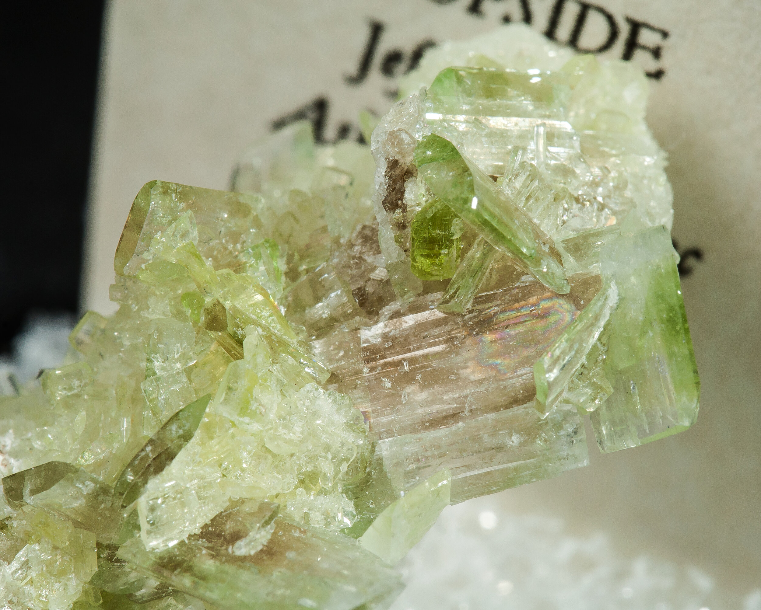 specimens/s_imagesAO0/Diopside-TQA46AO0d.jpg