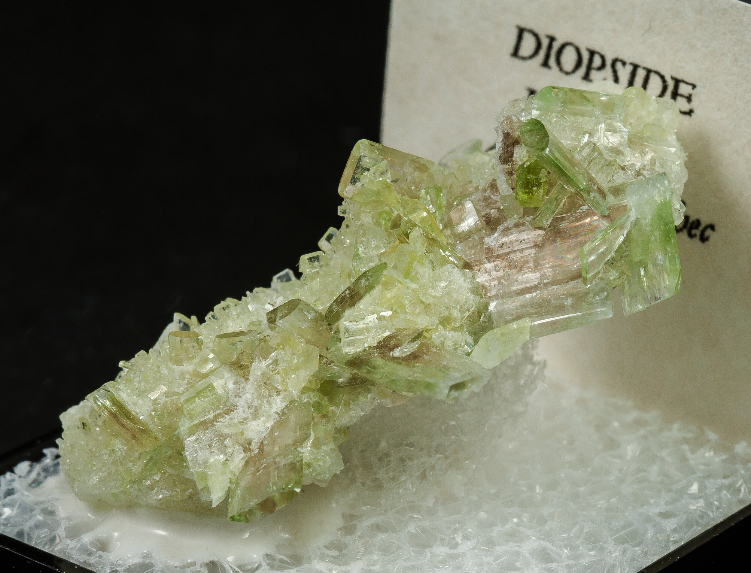 specimens/s_imagesAO0/Diopside-TQA46AO0s.jpg