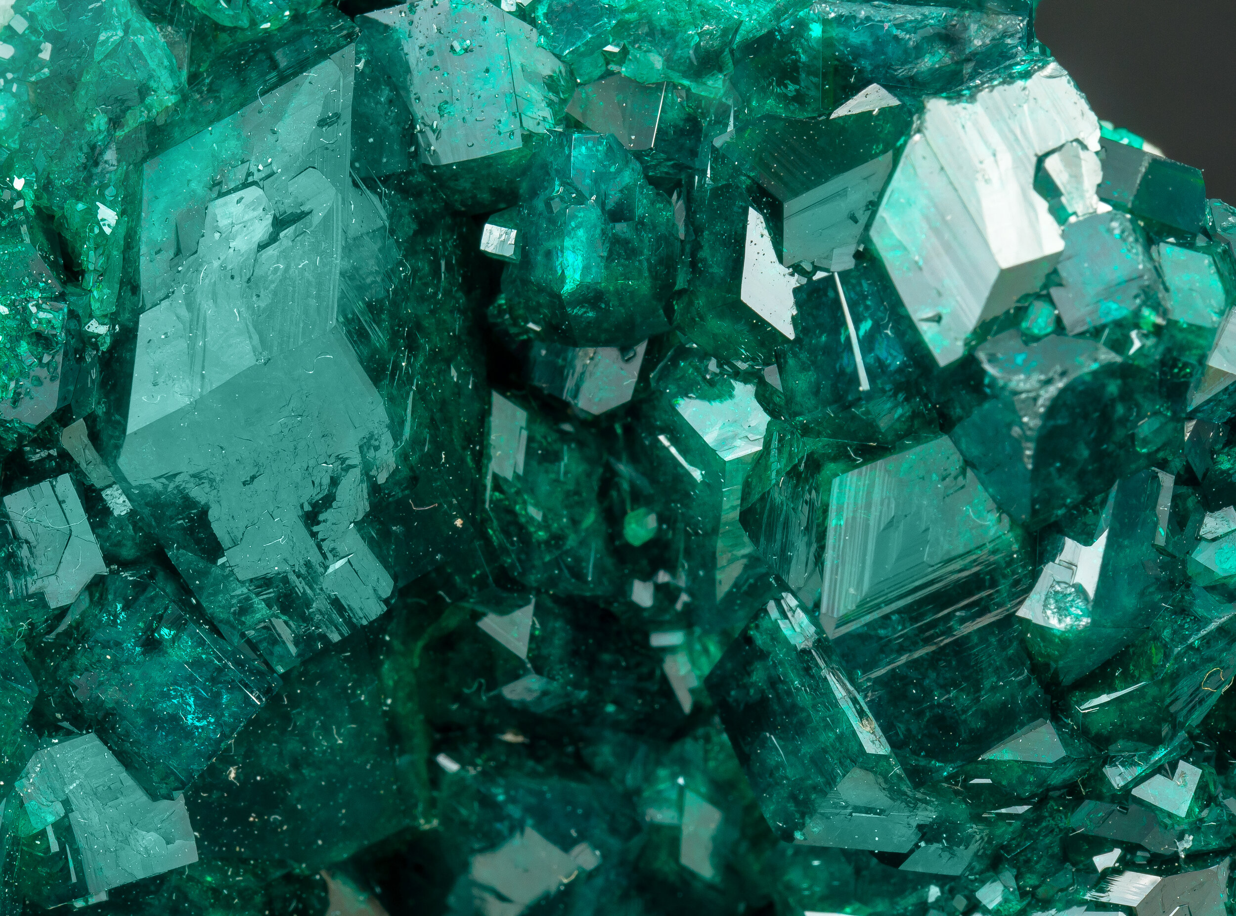 specimens/s_imagesAO0/Dioptase-EGH72AO0d.jpg