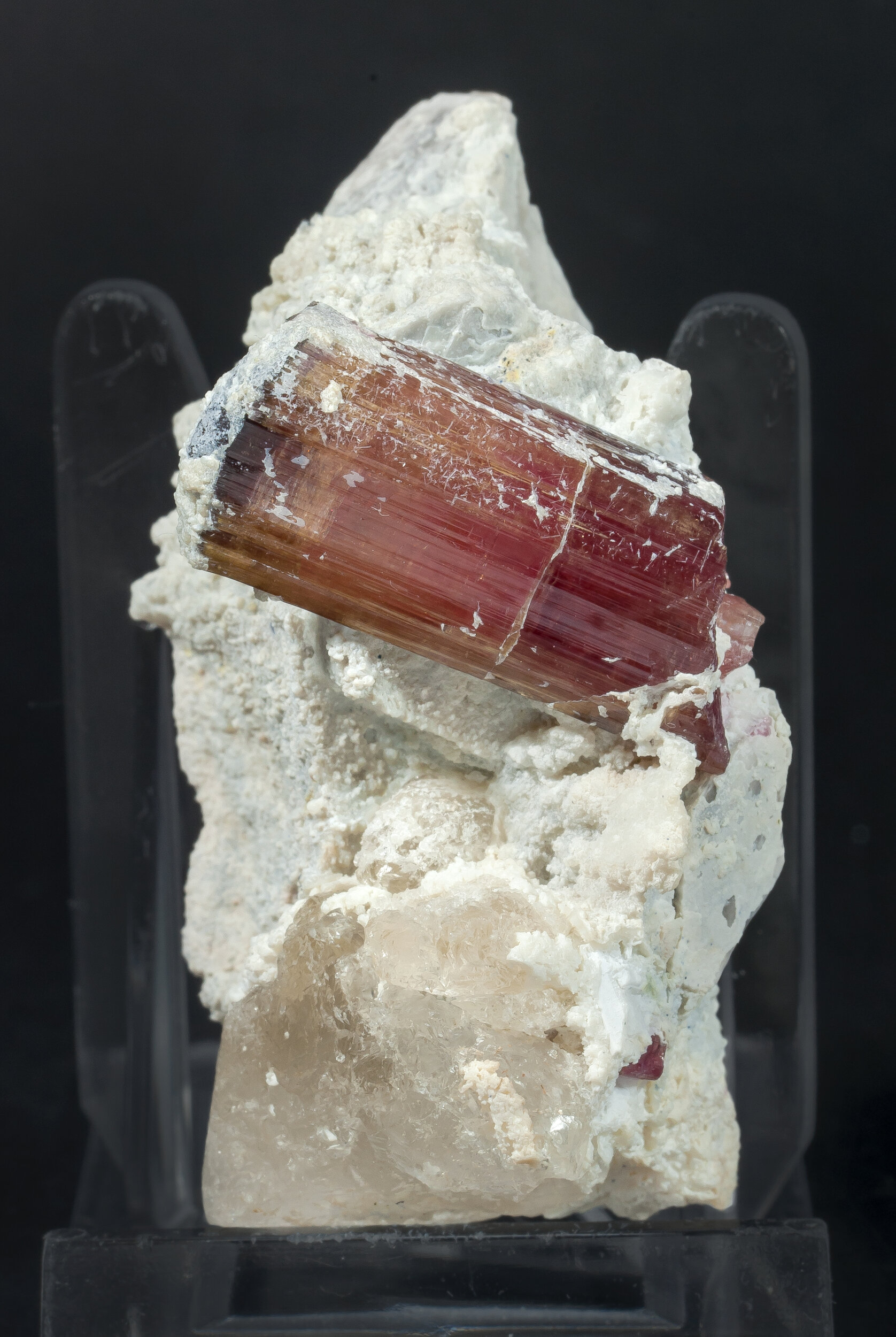 specimens/s_imagesAO0/Elbaite-MFB67AO0s.jpg