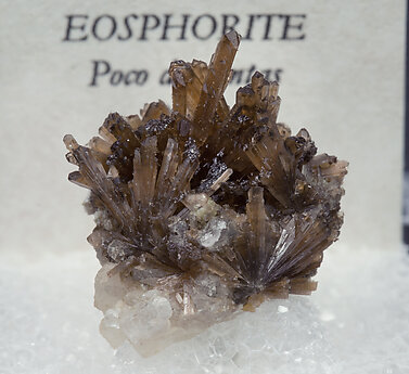 Eosphorite. 