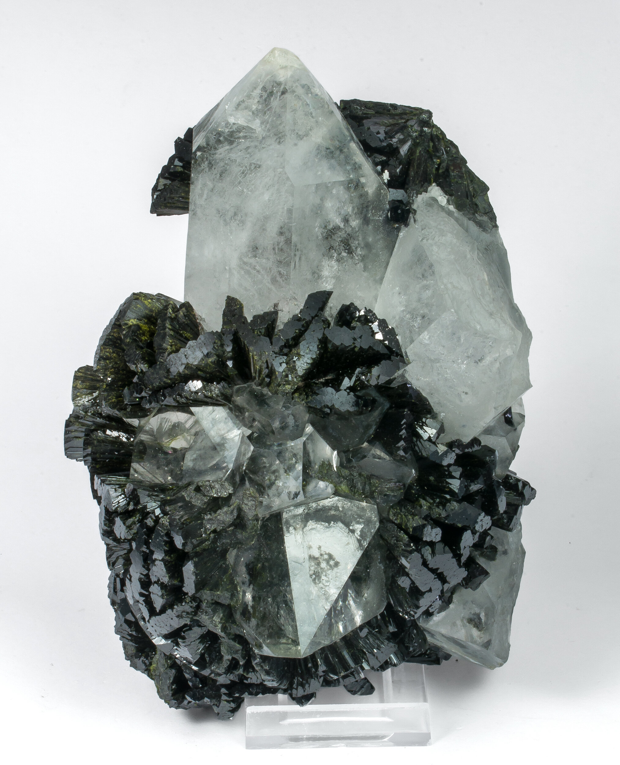 specimens/s_imagesAO0/Epidote-NRX47AO0f.jpg