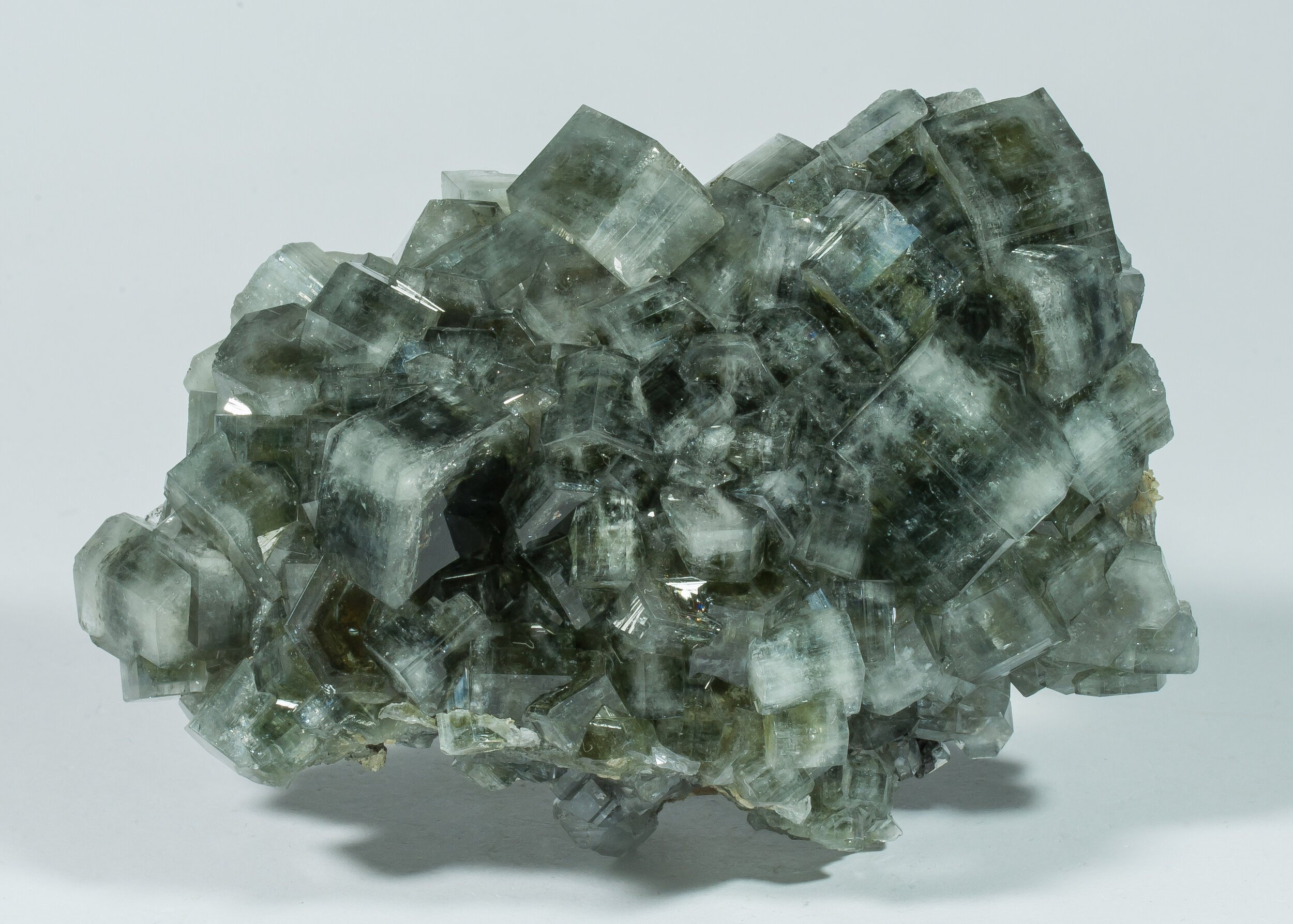 specimens/s_imagesAO0/Fluorapatite-JFD77AO0s.jpg