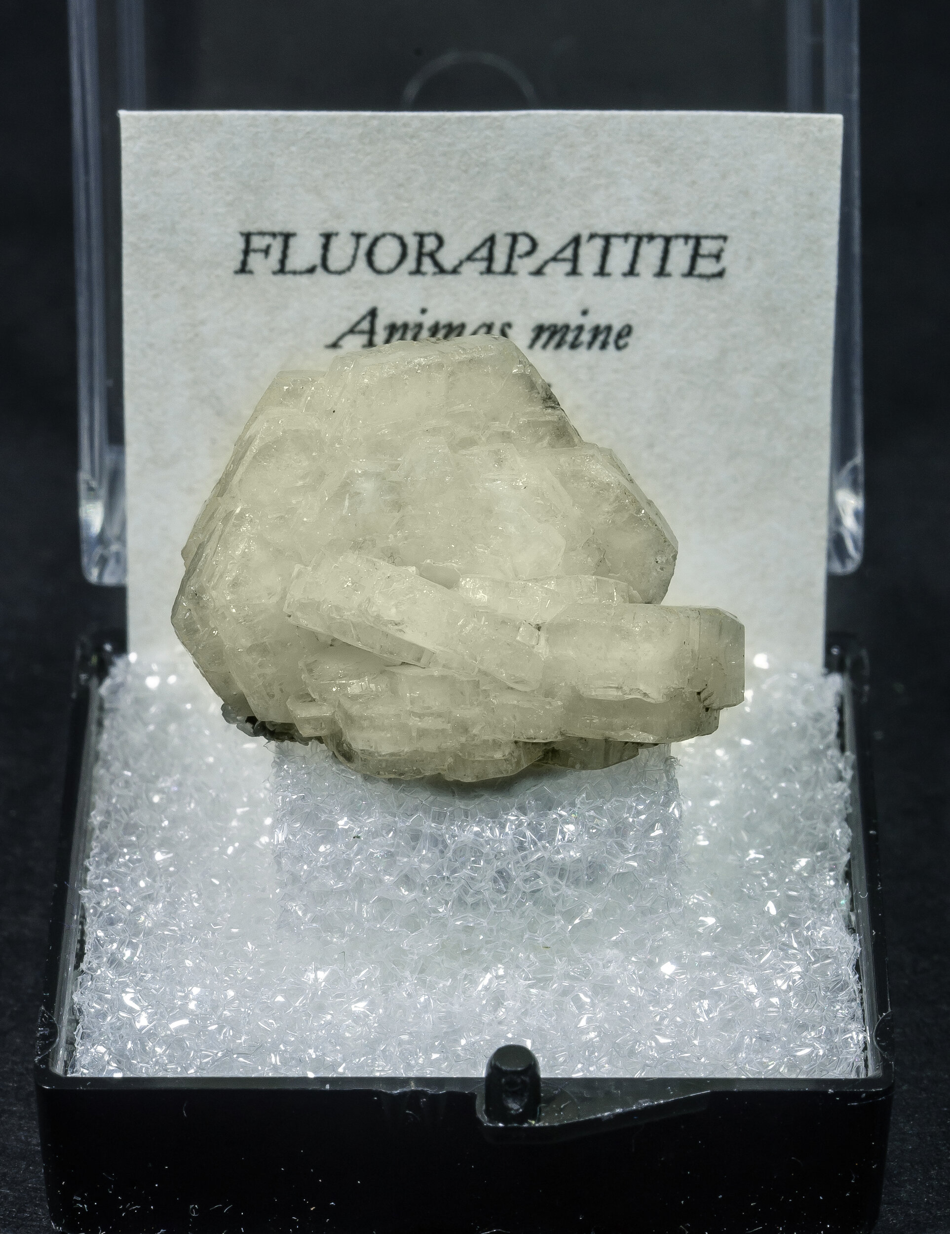 specimens/s_imagesAO0/Fluorapatite-TLB6AO0f1.jpg