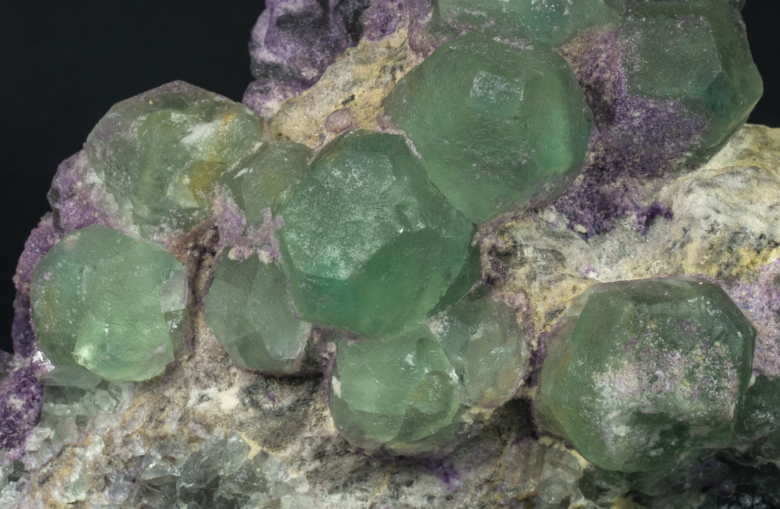 specimens/s_imagesAO0/Fluorite-EFA97AO0d.jpg