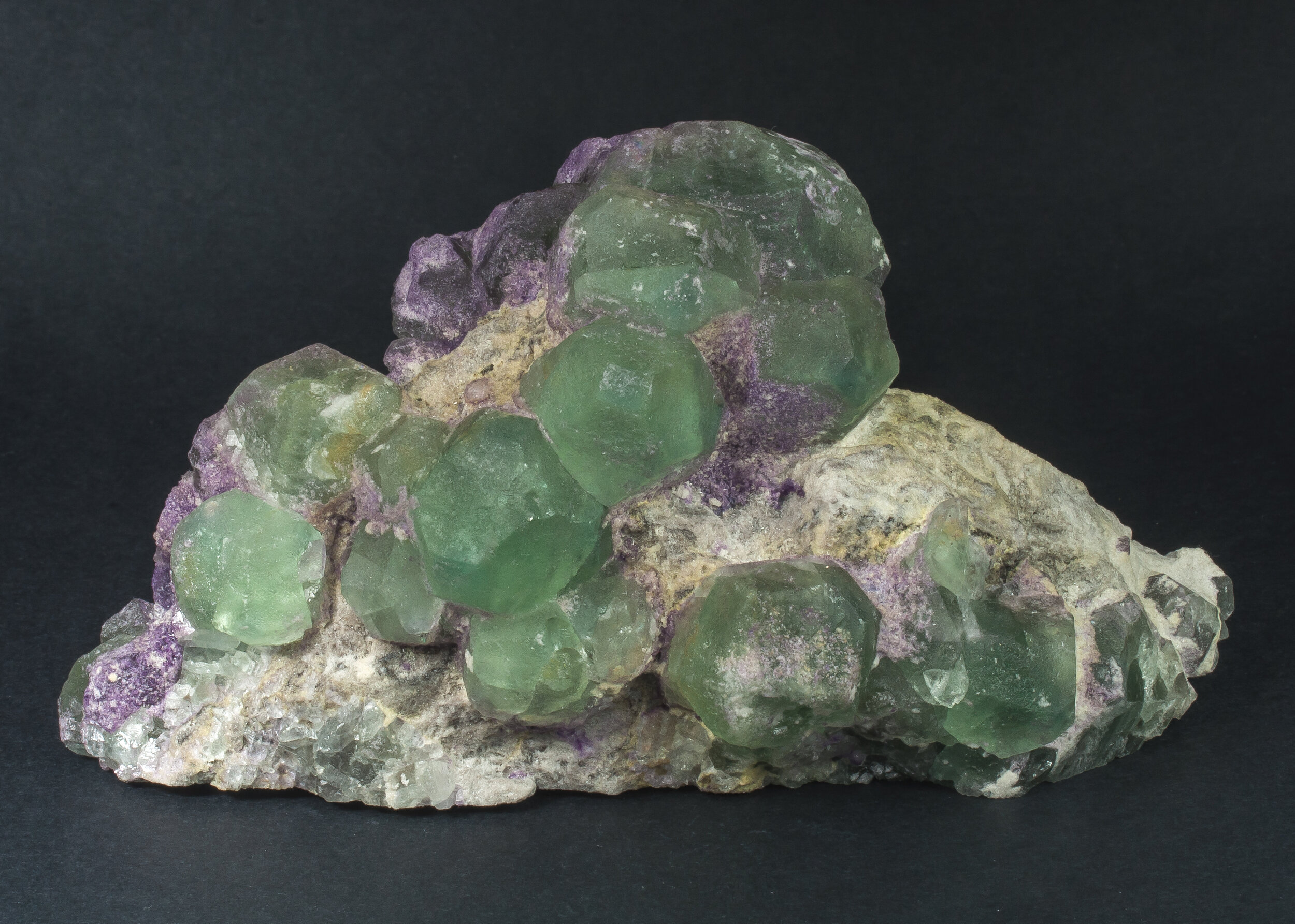 specimens/s_imagesAO0/Fluorite-EFA97AO0f.jpg