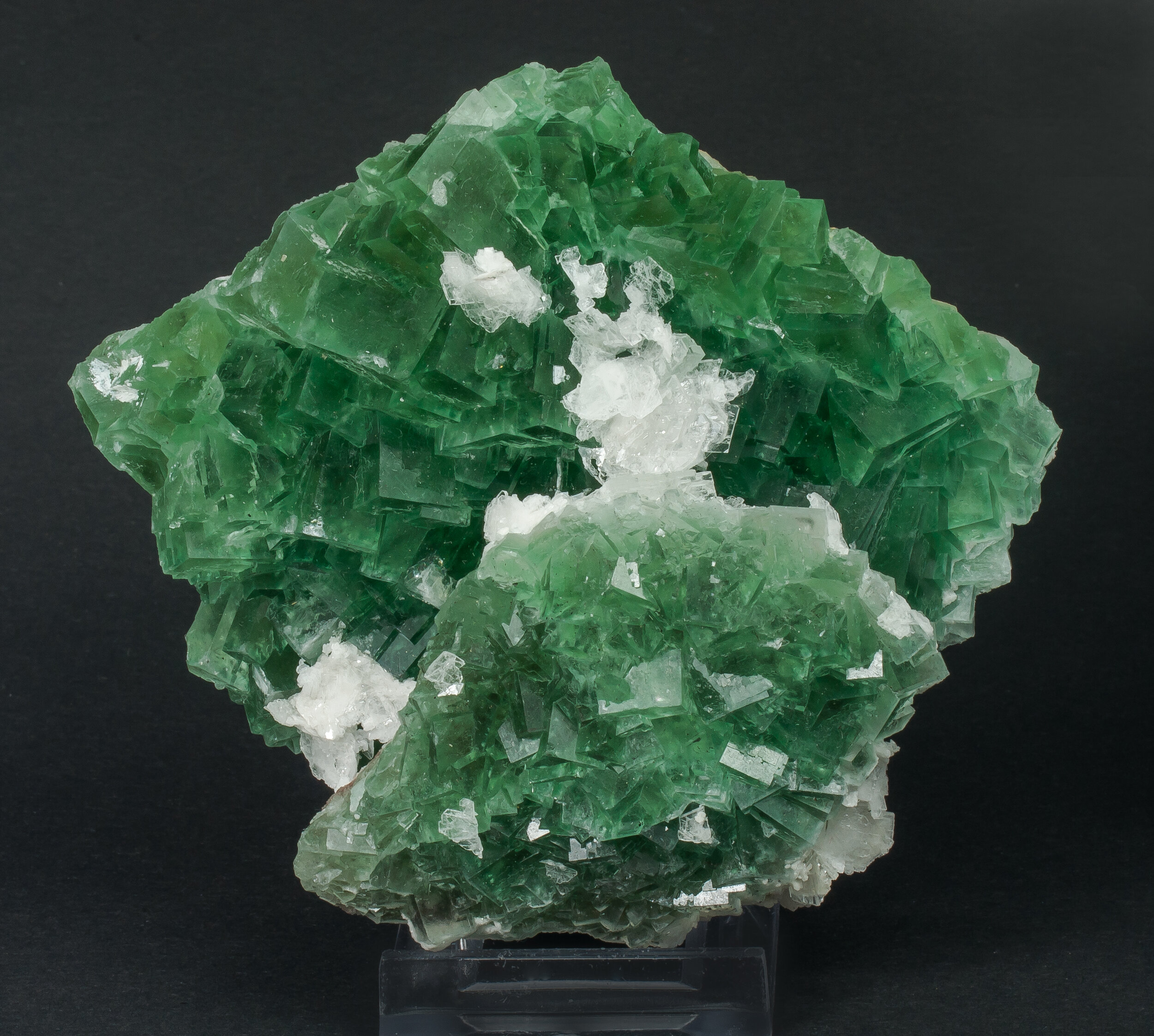 specimens/s_imagesAO0/Fluorite-EXA68AO0f.jpg