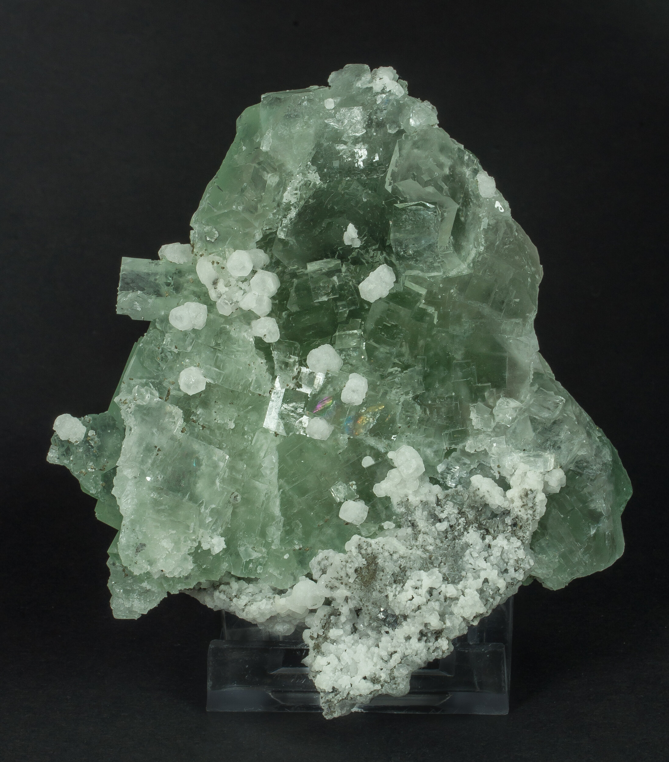 specimens/s_imagesAO0/Fluorite-FTX14AO0f.jpg