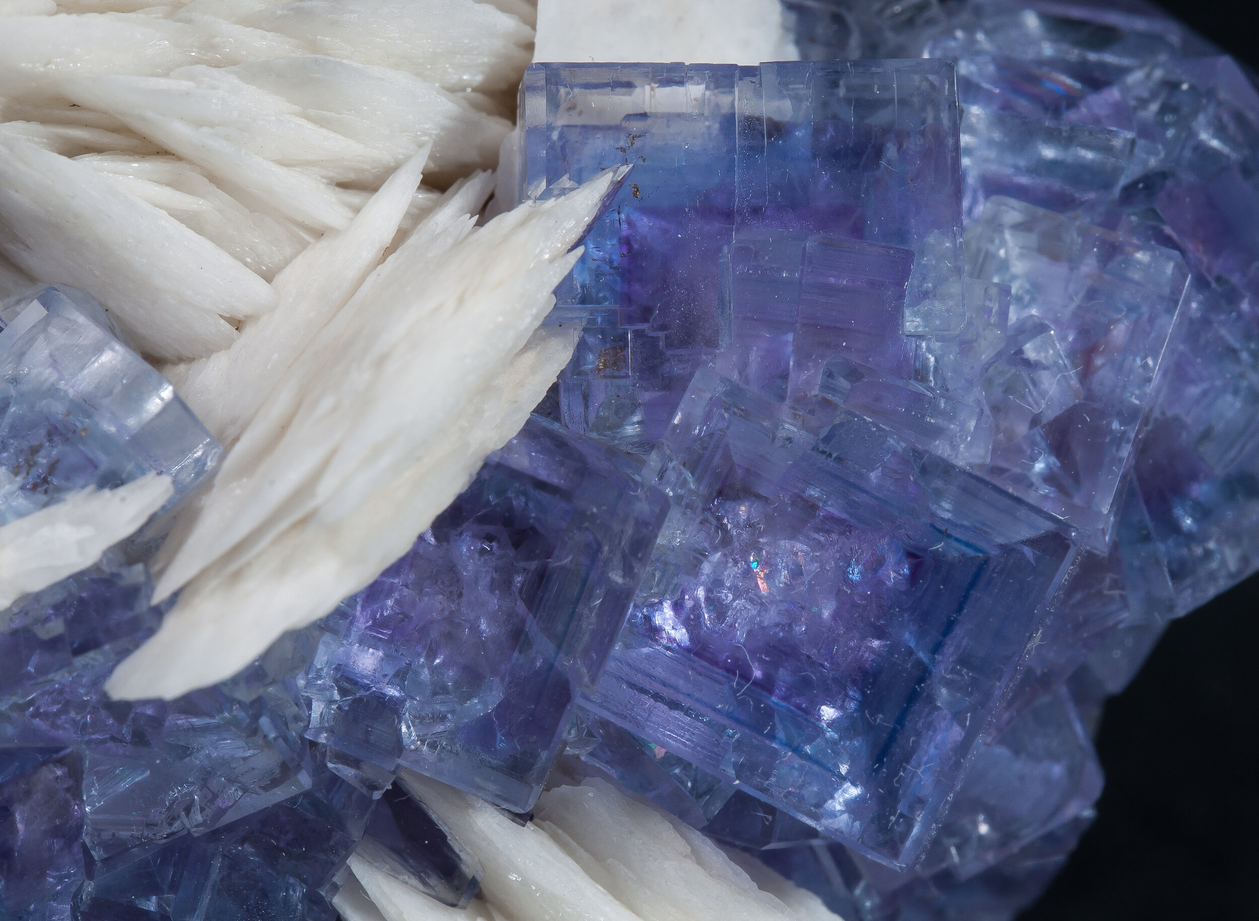 specimens/s_imagesAO0/Fluorite-JFD73AO0d1.jpg