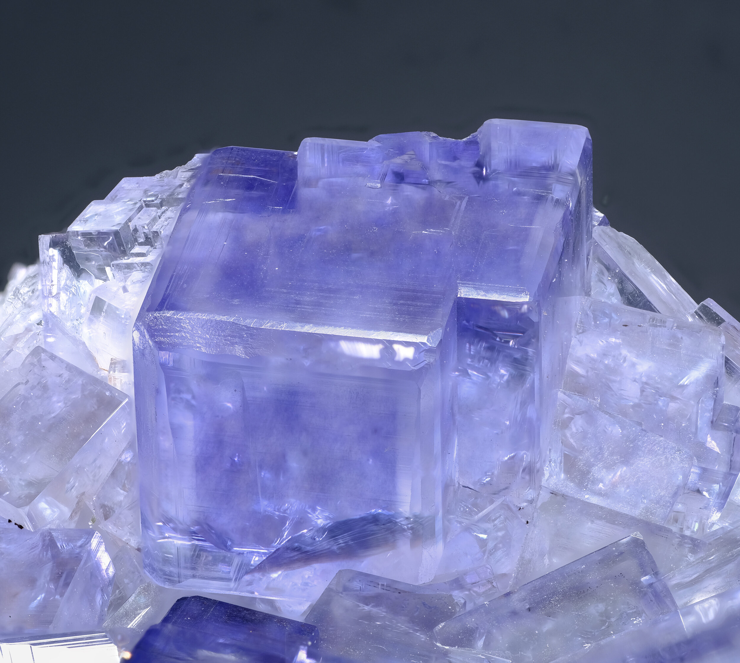 specimens/s_imagesAO0/Fluorite-JFD74AO0_8437_d.jpg