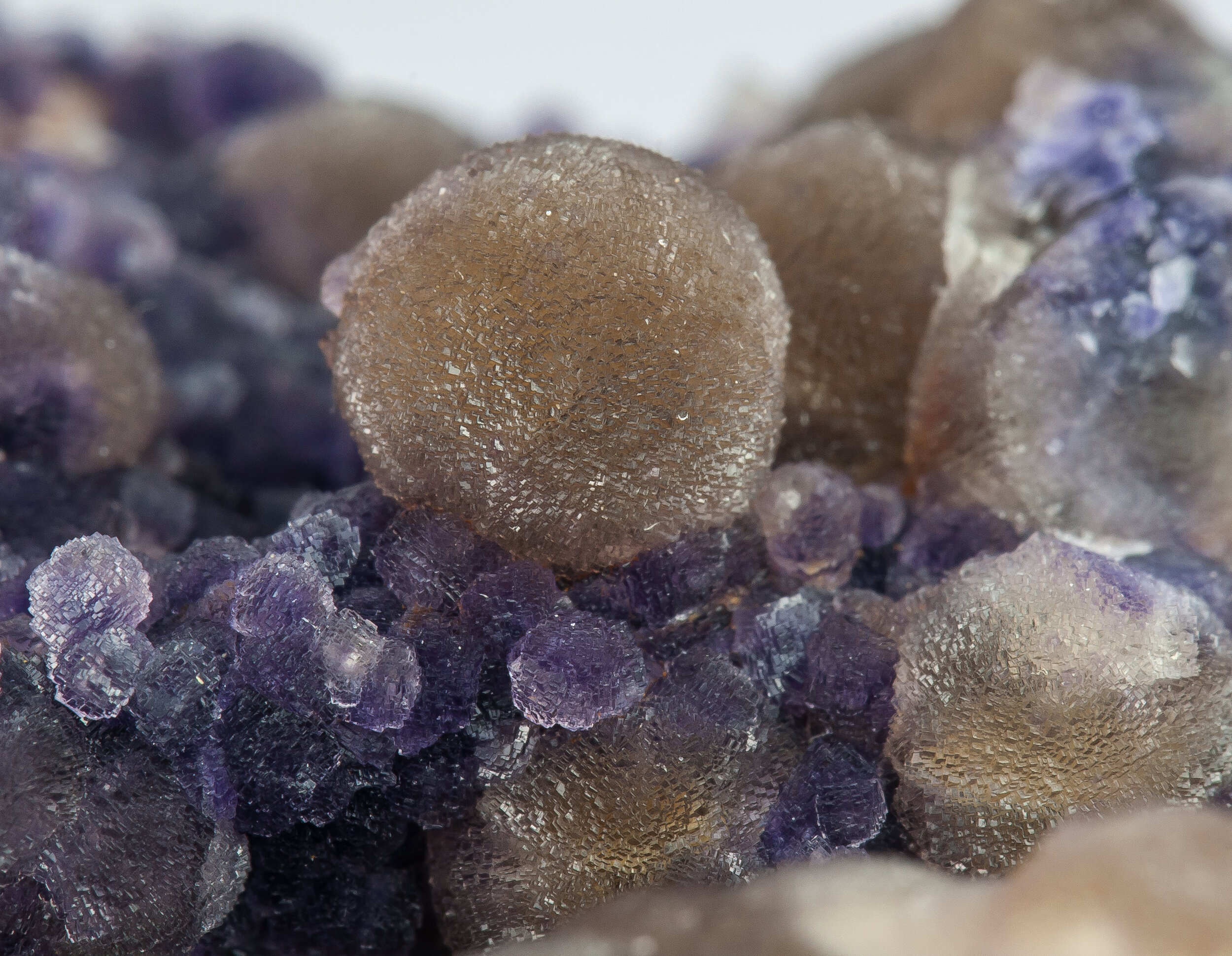 specimens/s_imagesAO0/Fluorite-JFD78AO0d2.jpg