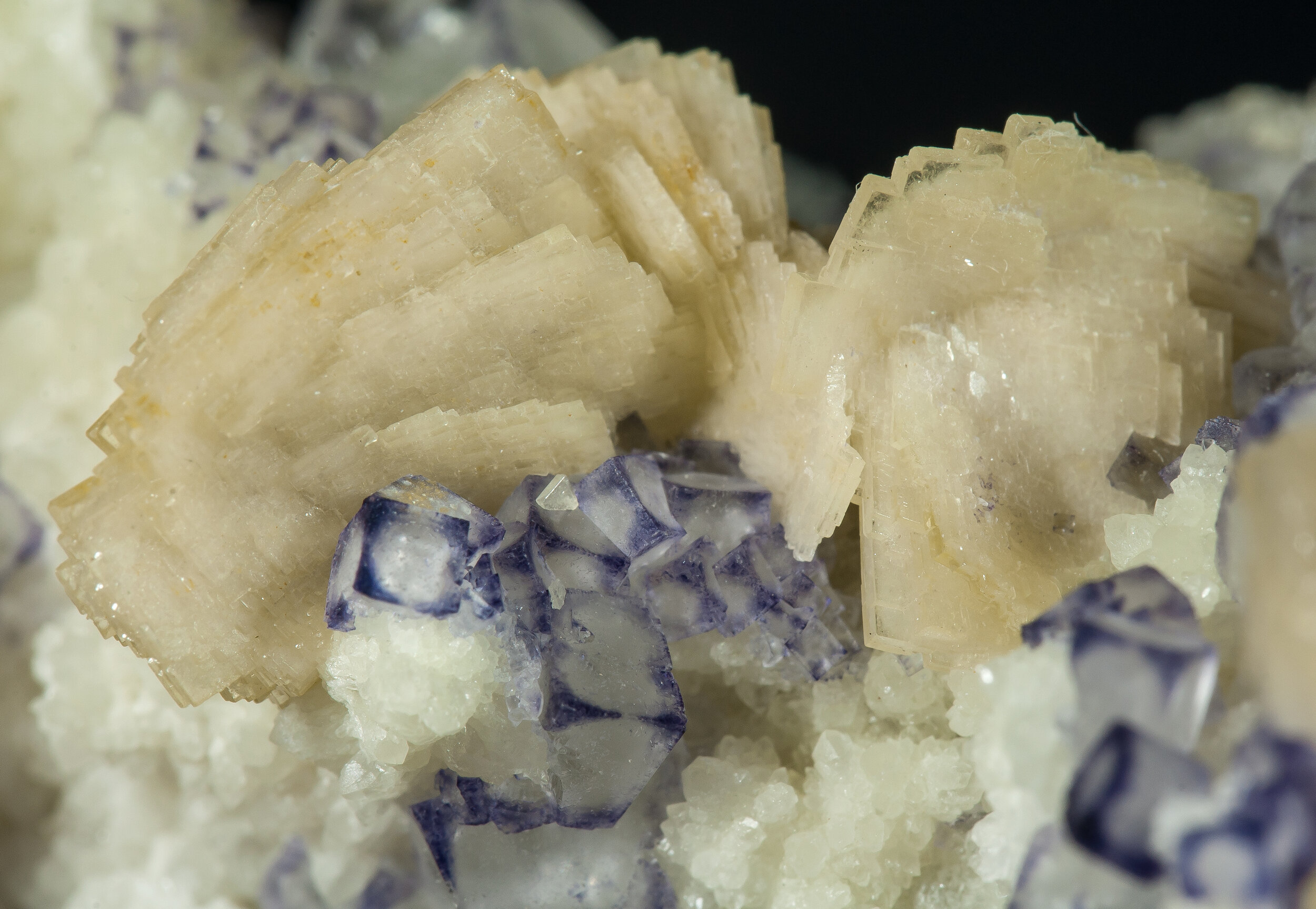 specimens/s_imagesAO0/Fluorite-MBT98AO0d2.jpg