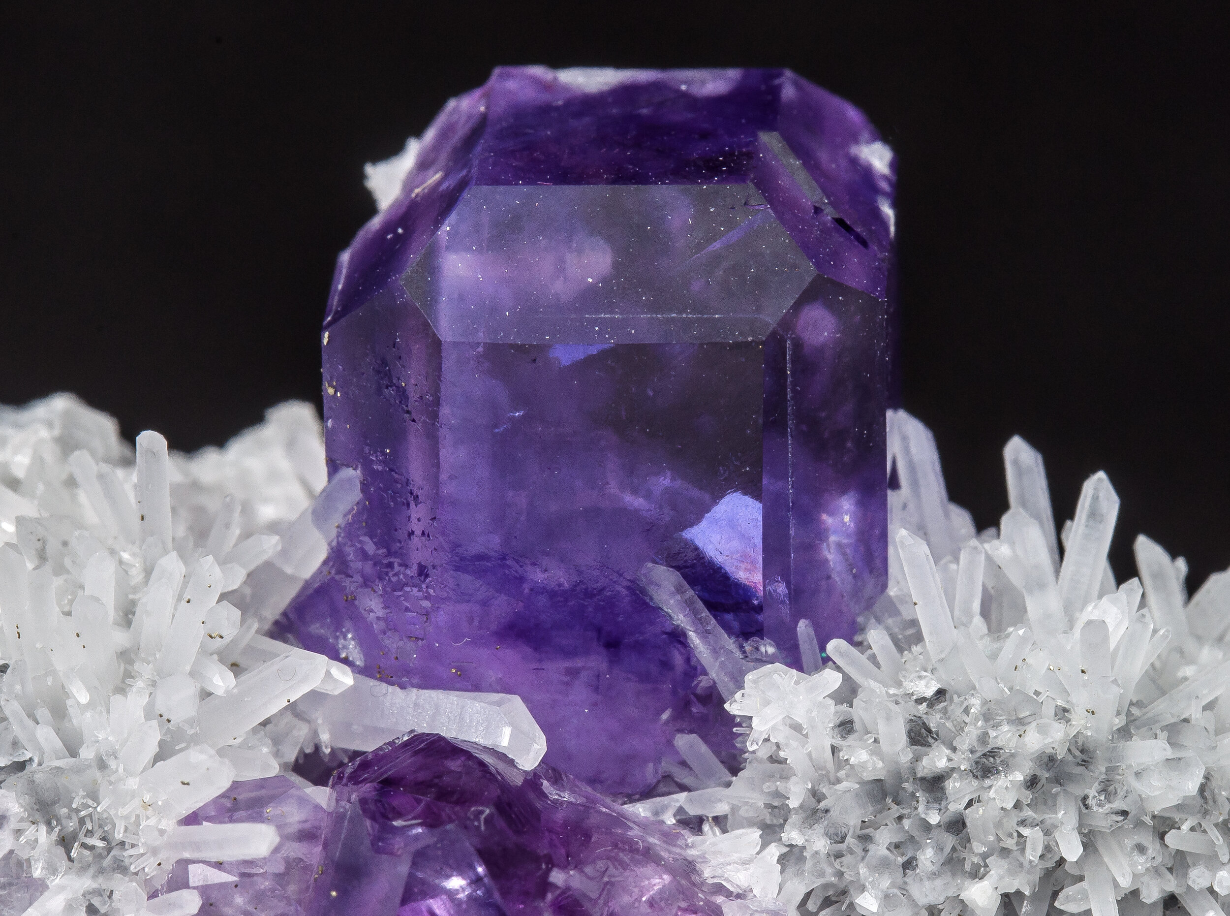 specimens/s_imagesAO0/Fluorite-MFR70AO0d.jpg