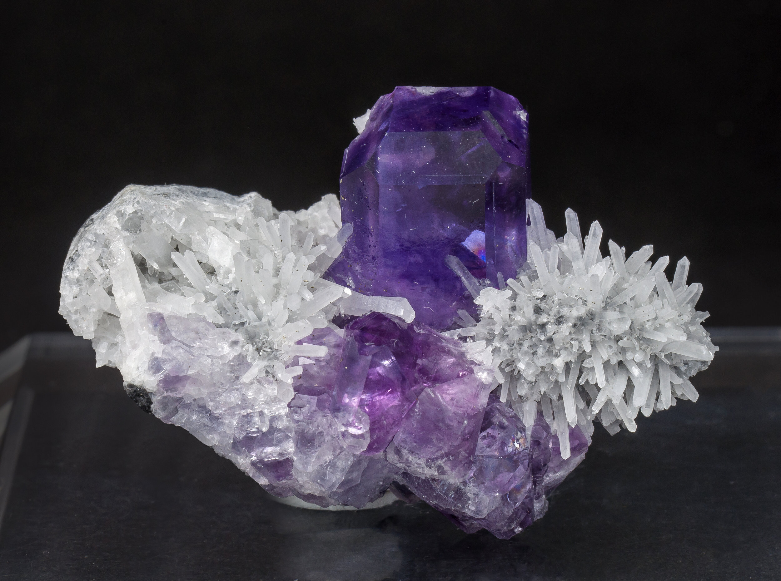 specimens/s_imagesAO0/Fluorite-MFR70AO0f.jpg