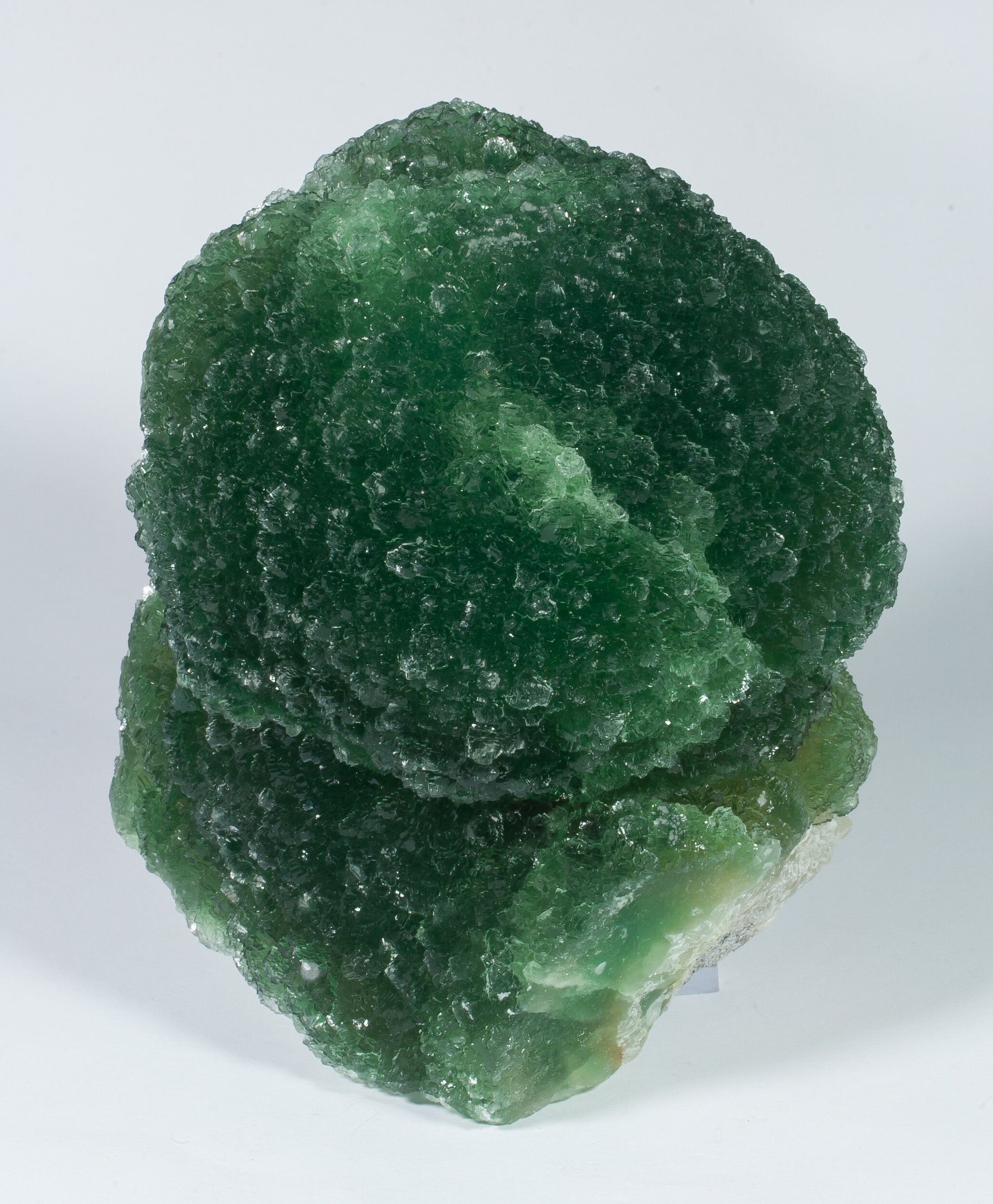 specimens/s_imagesAO0/Fluorite-MXJ92AO0f.jpg