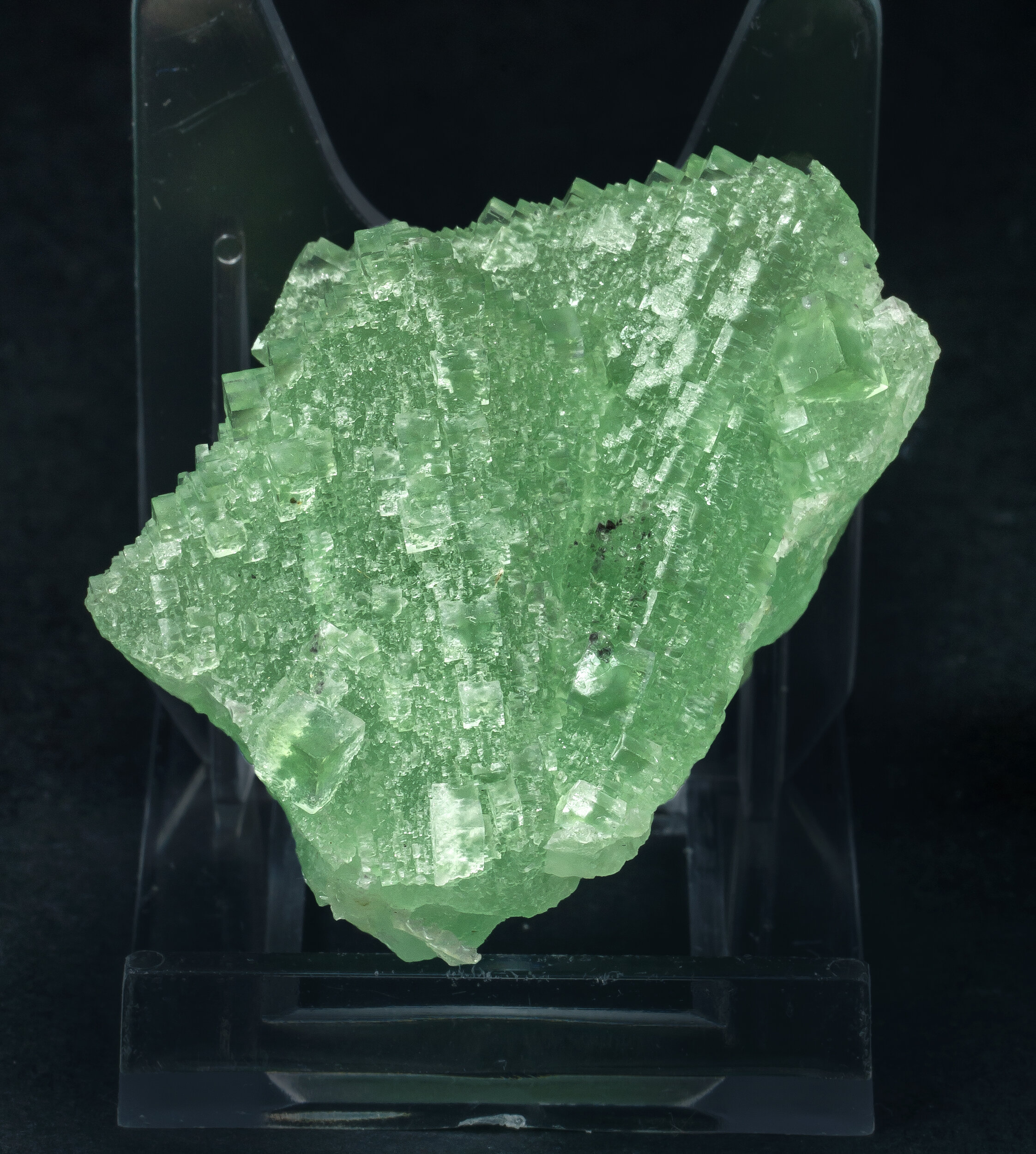 specimens/s_imagesAO0/Fluorite-NPA26AO0s.jpg