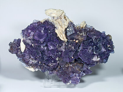 Fluorite with Baryte. 