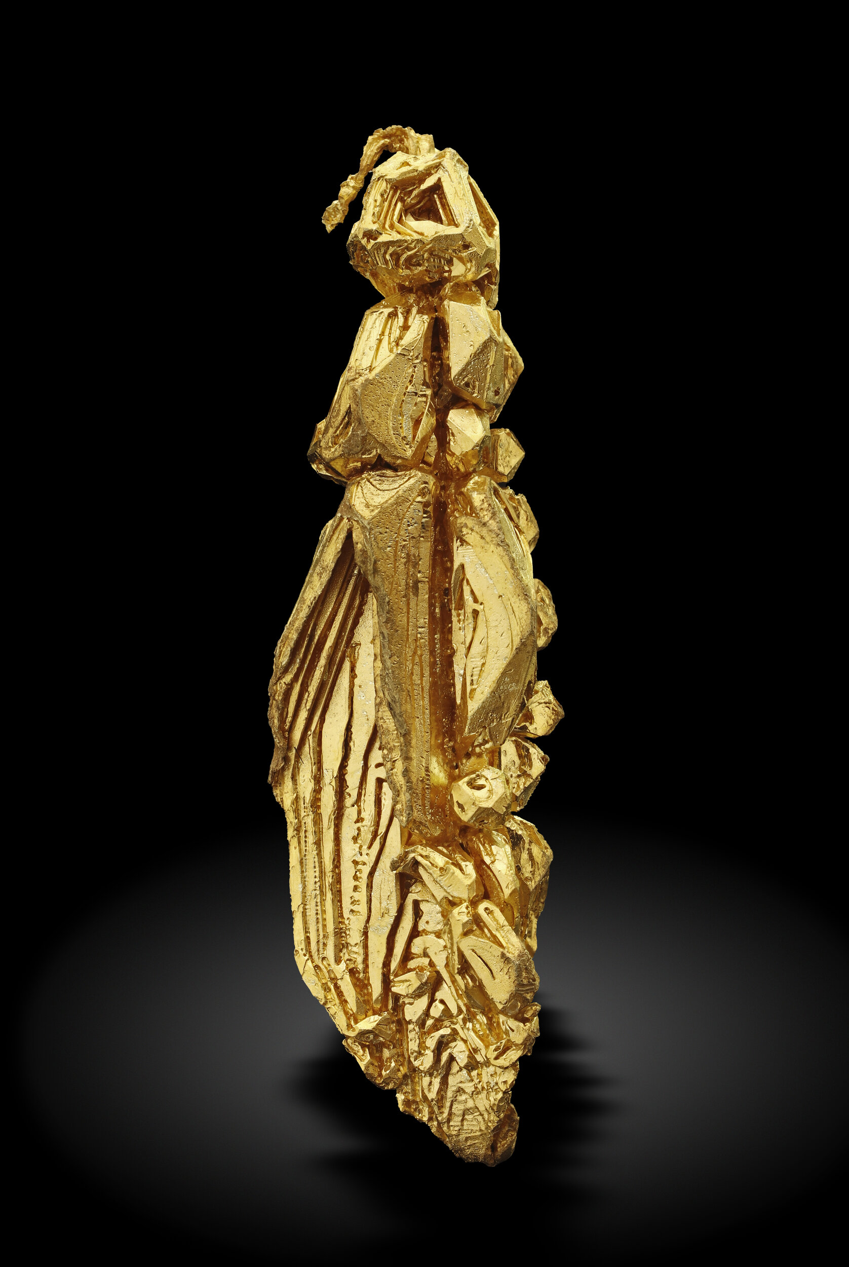 specimens/s_imagesAO0/Gold-TDA86AO0_0405_f.jpg