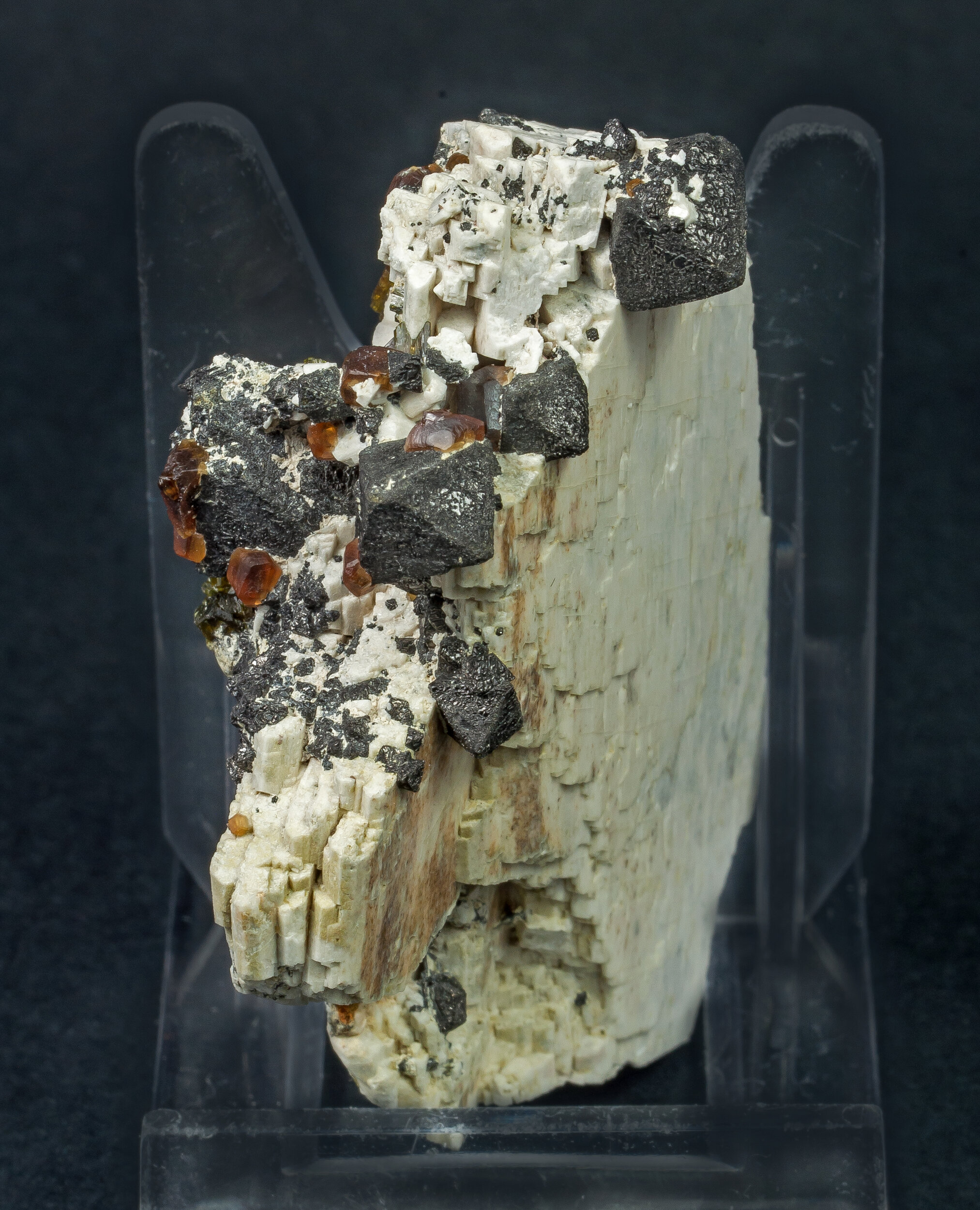 specimens/s_imagesAO0/Magnetite-TBM14AO0f.jpg