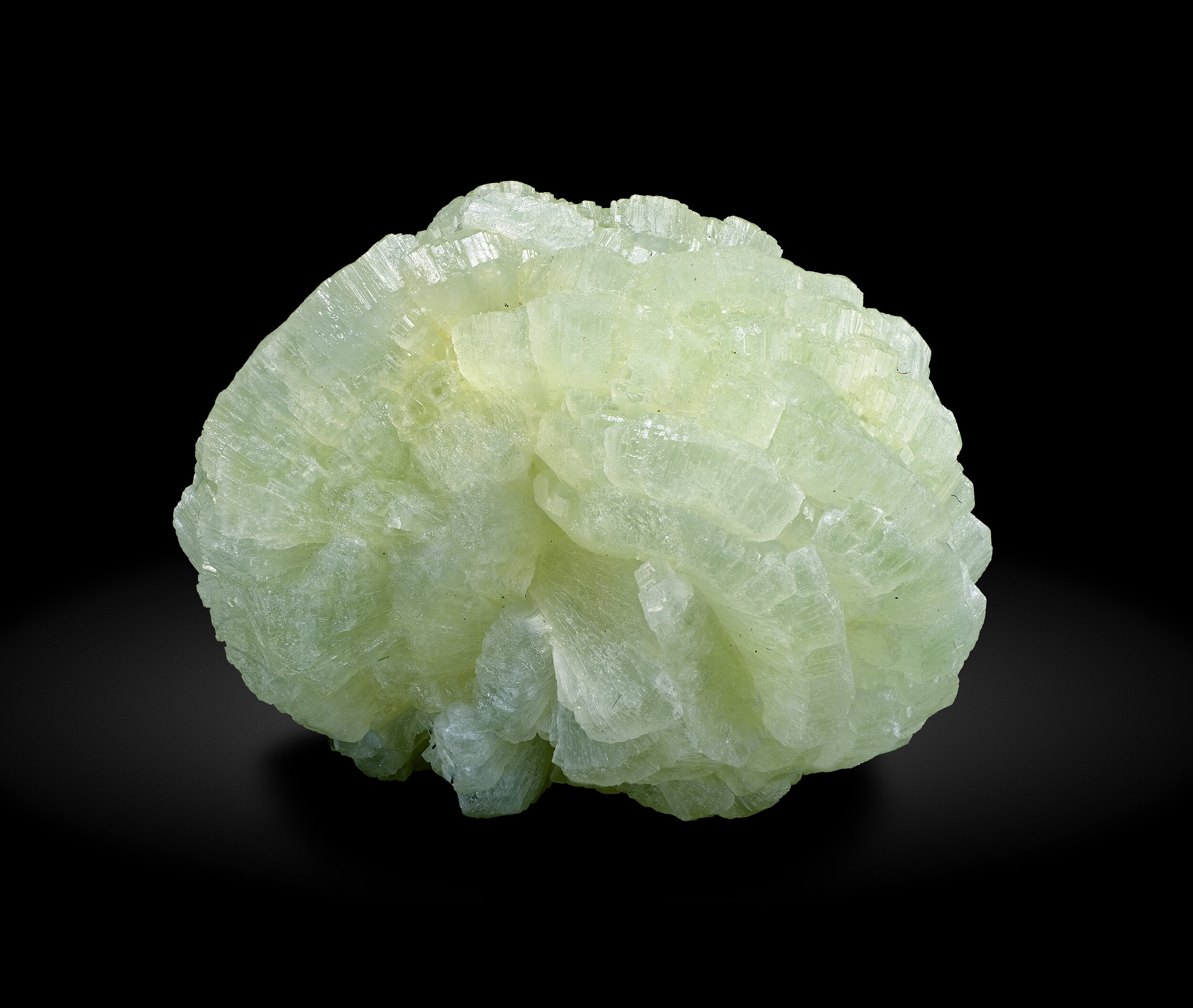 specimens/s_imagesAO0/Prehnite-JFD65AO0_8237_f.jpg